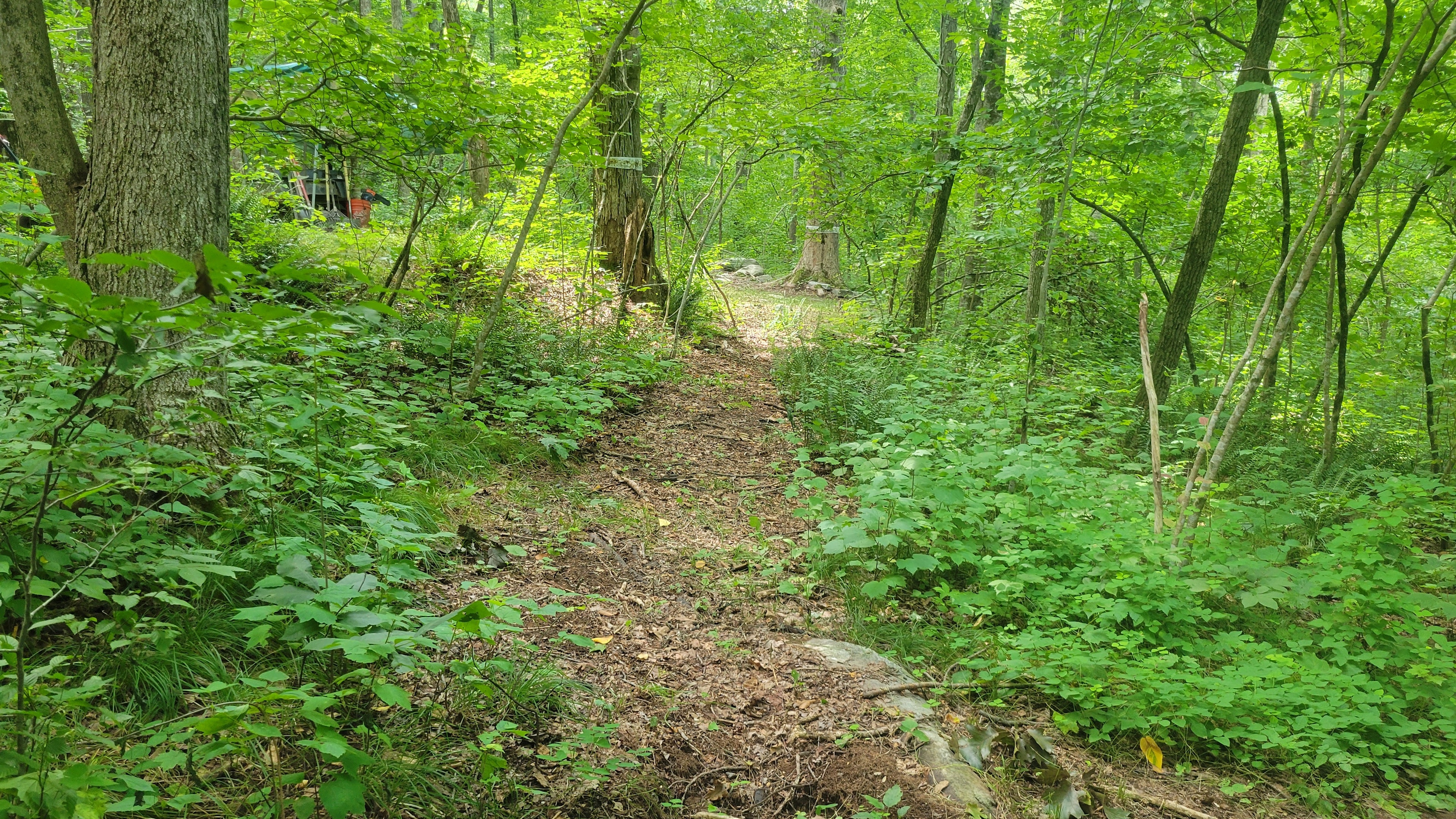 path to site's lower level