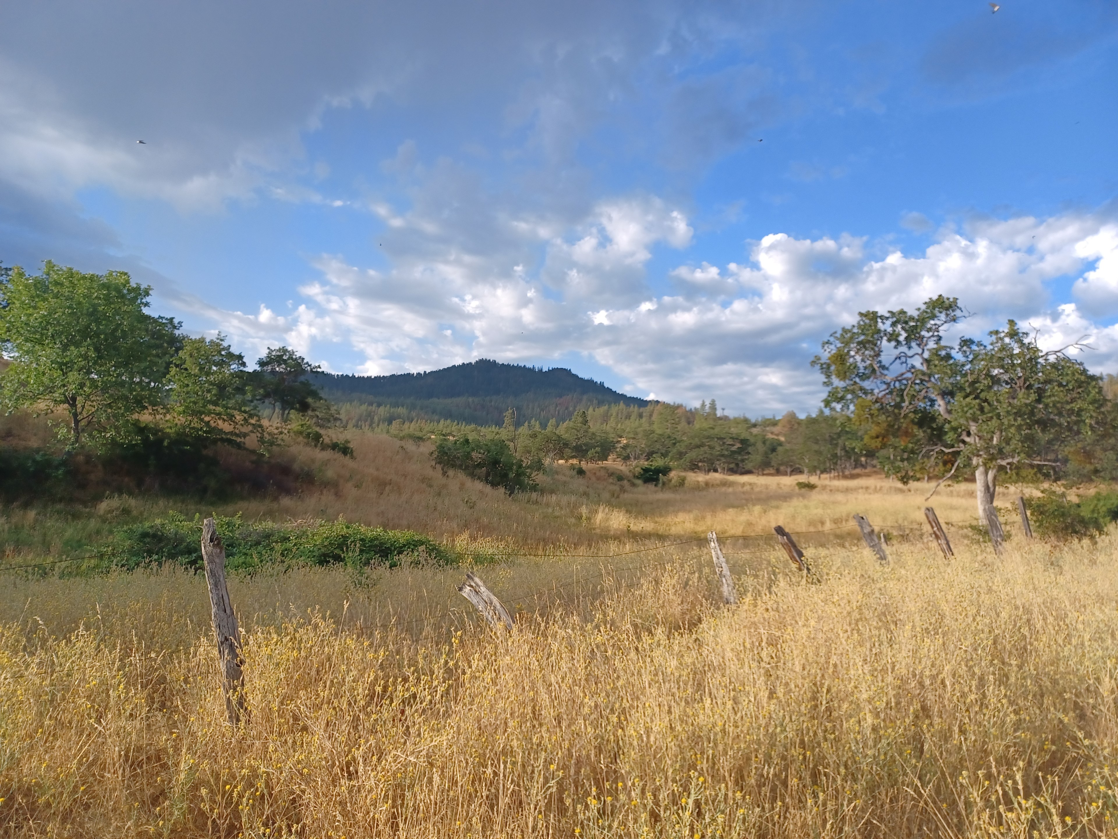 pretty even in the dry season