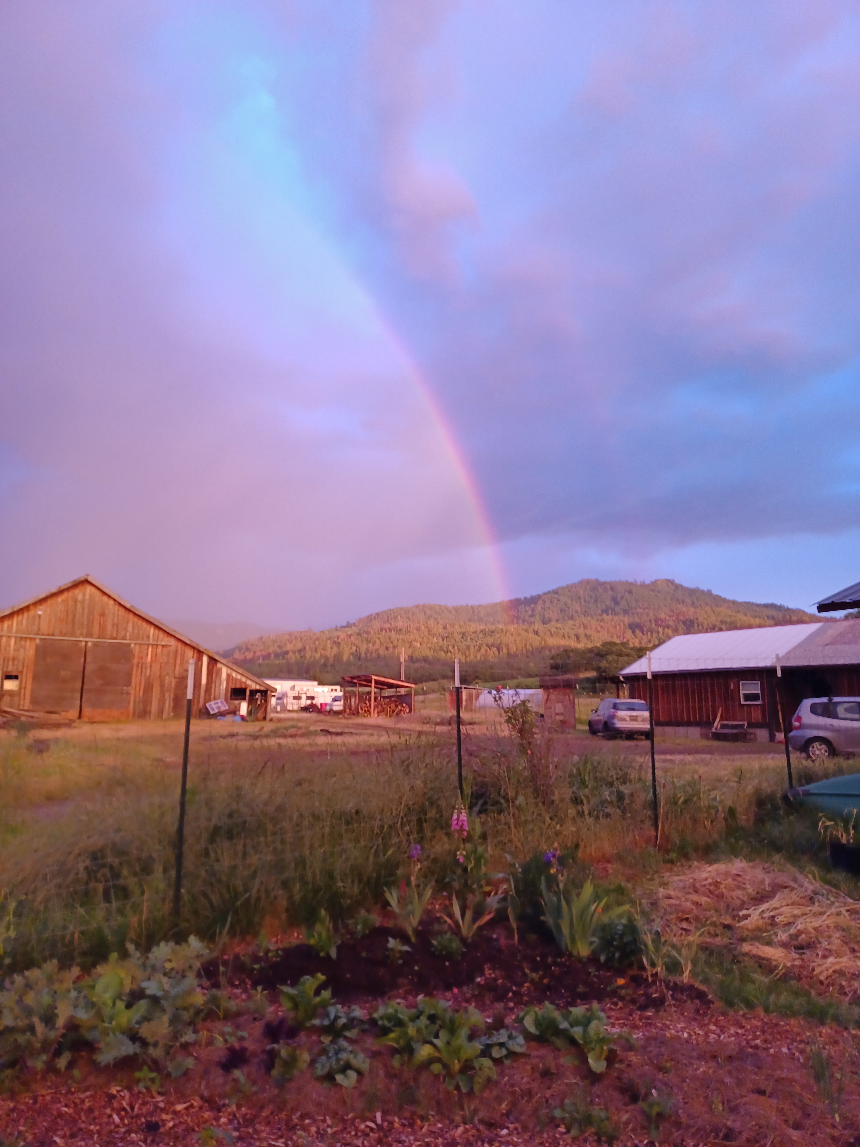 gardens, barn and trails for walking