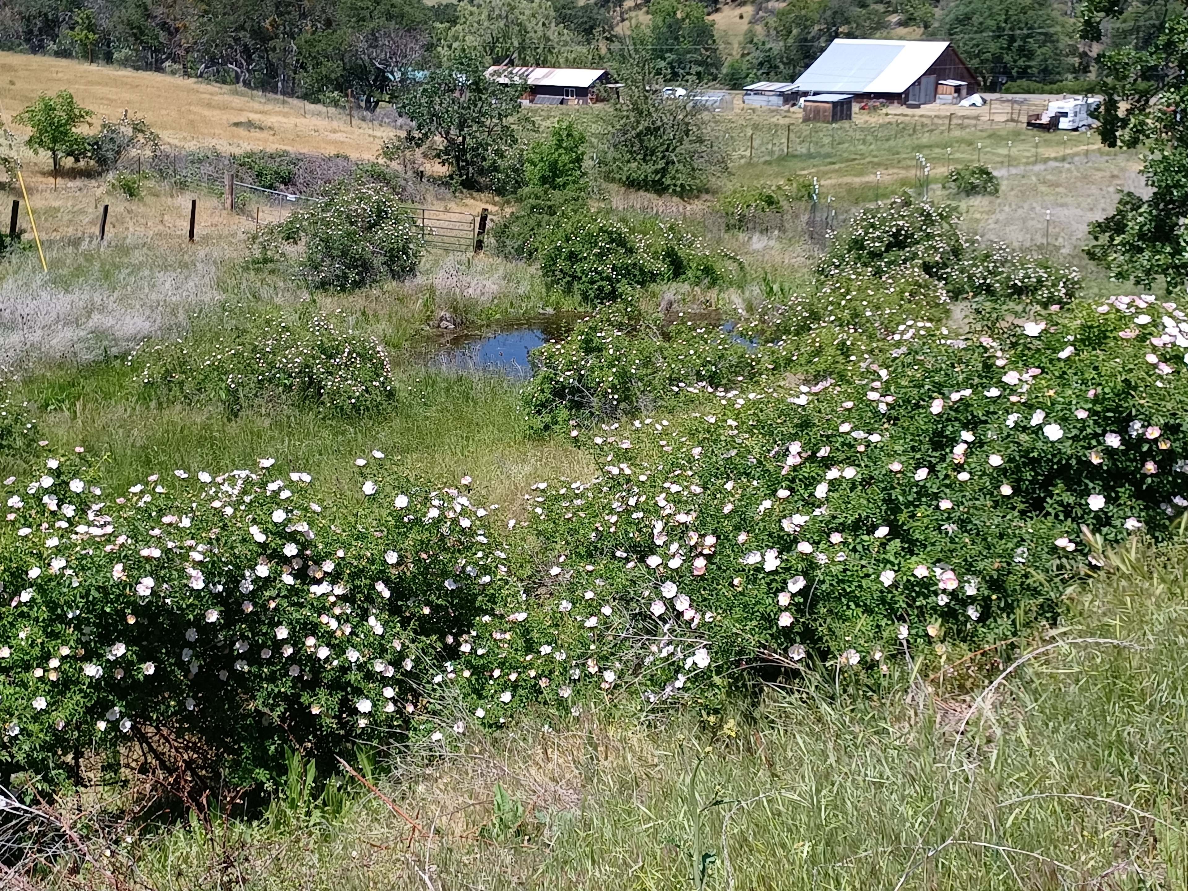a view from up the trail 