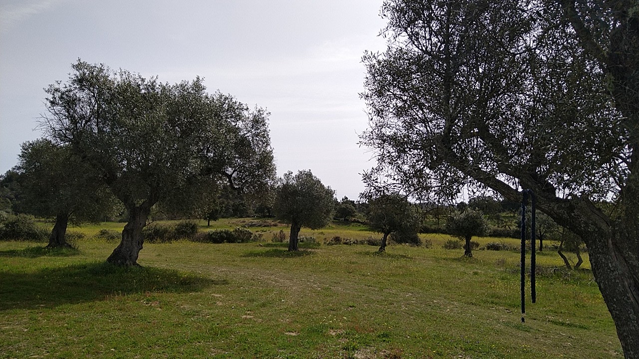 Quinta de Volte a Fonte