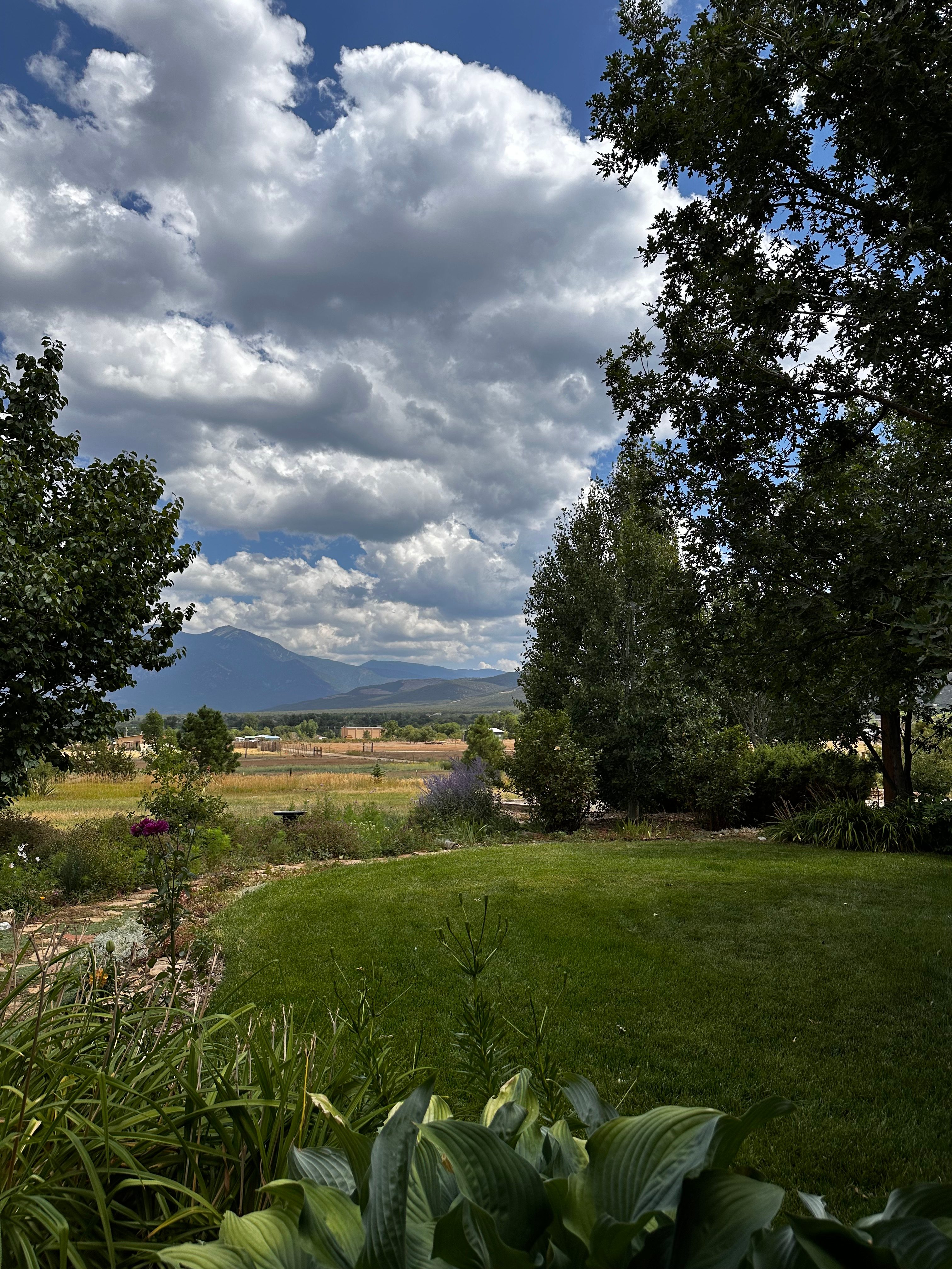 HarmonyTaos Regenerative Farm