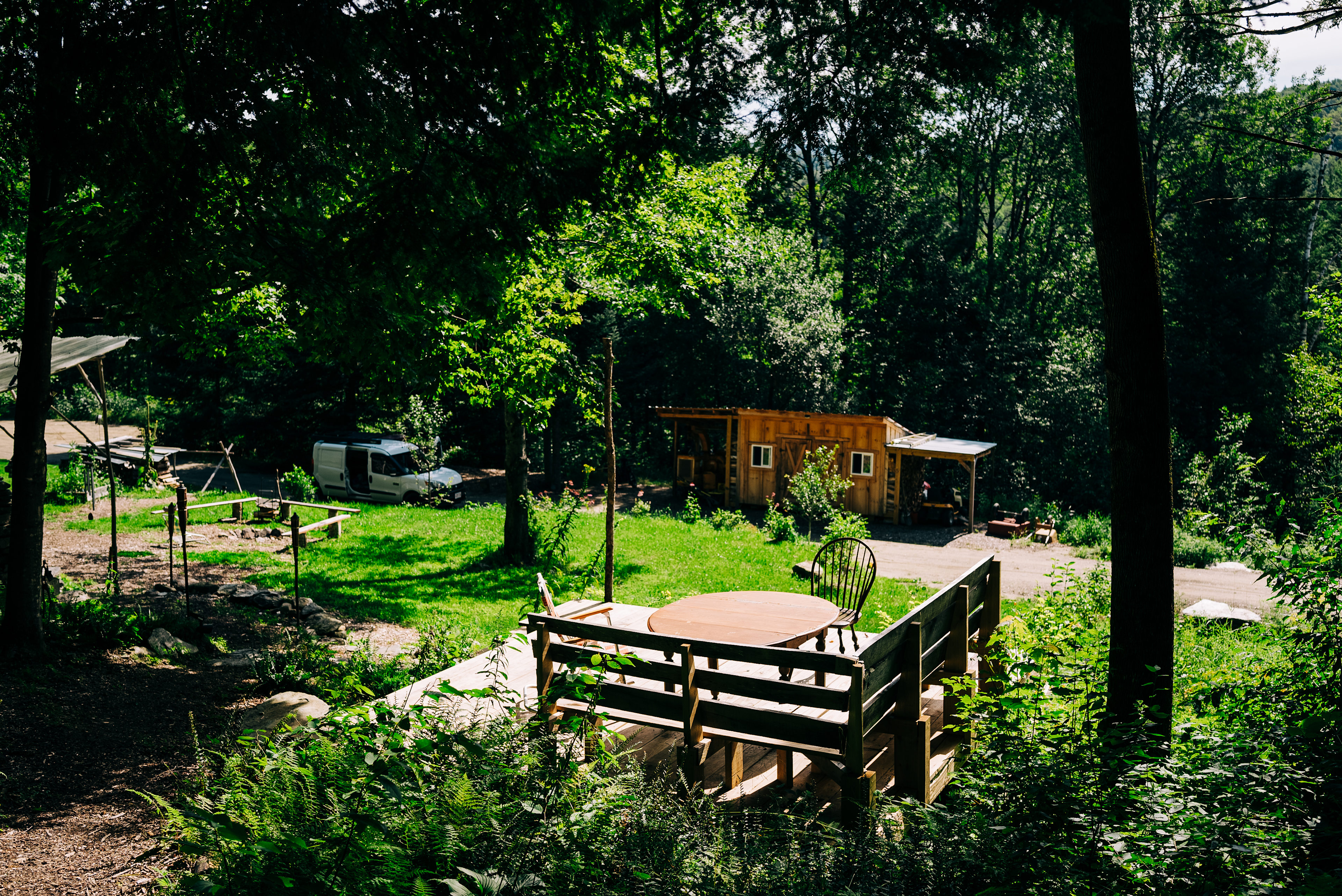 Fern Hollow