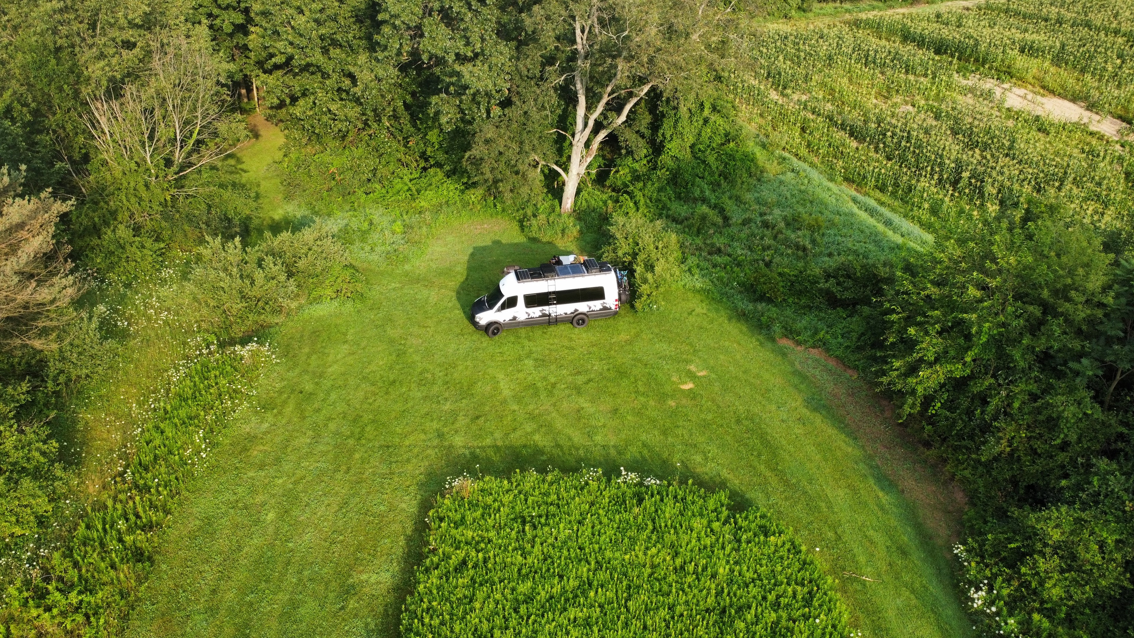 Combination of sun/shade at Site 1