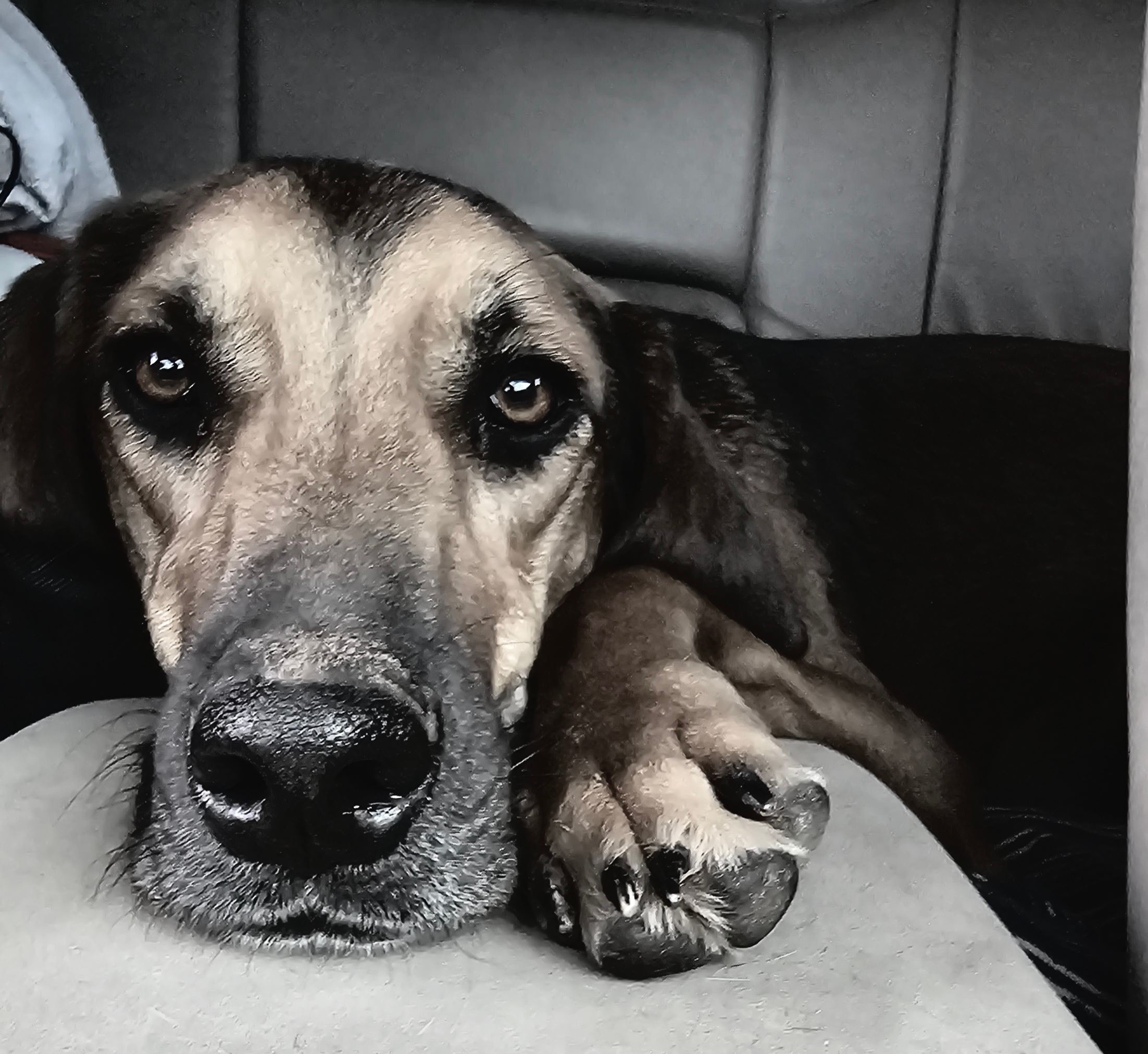Wahl Dairy Farm.  Hilltop Campsite