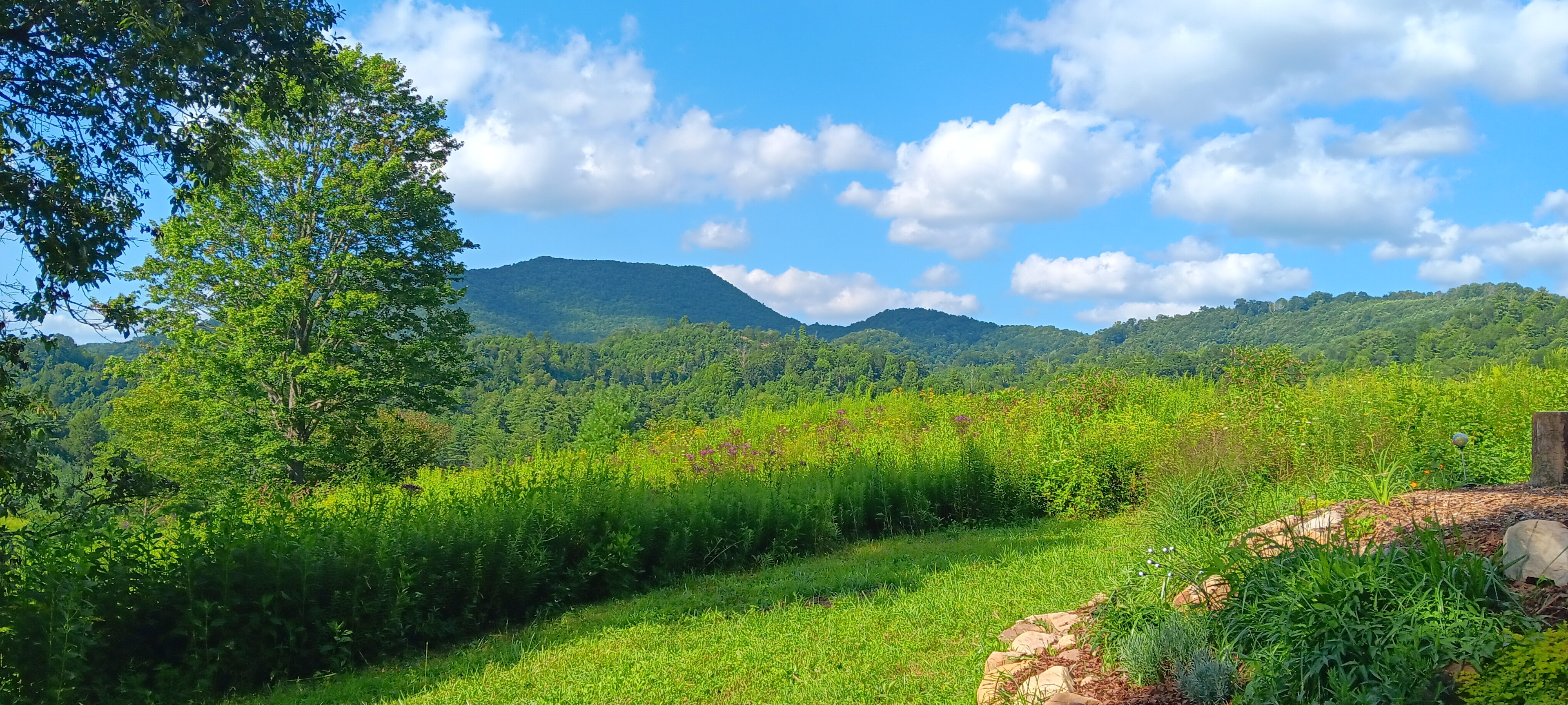 Stunning views and meadowsnto roam