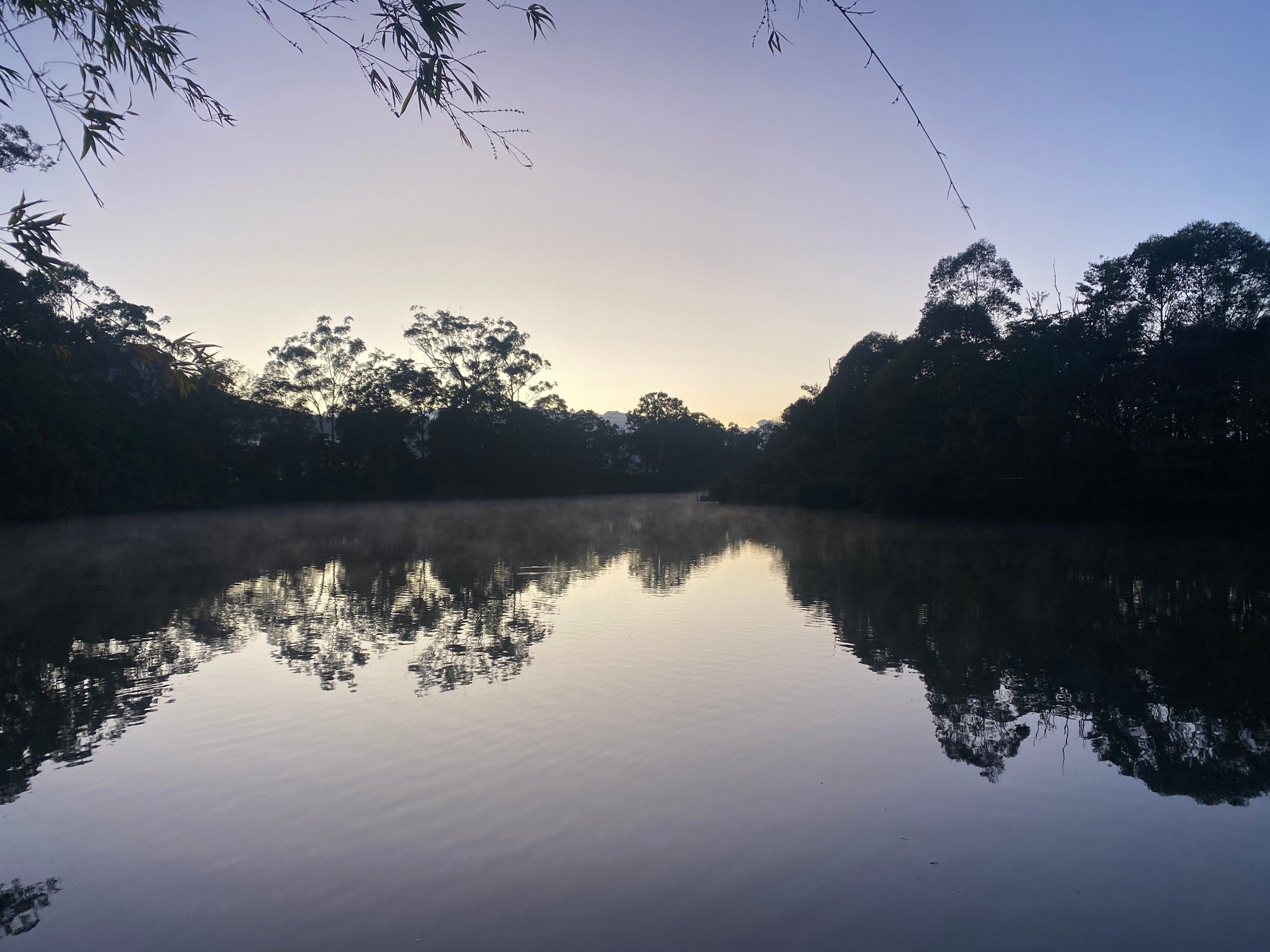 Early Morning Fish just beautiful 