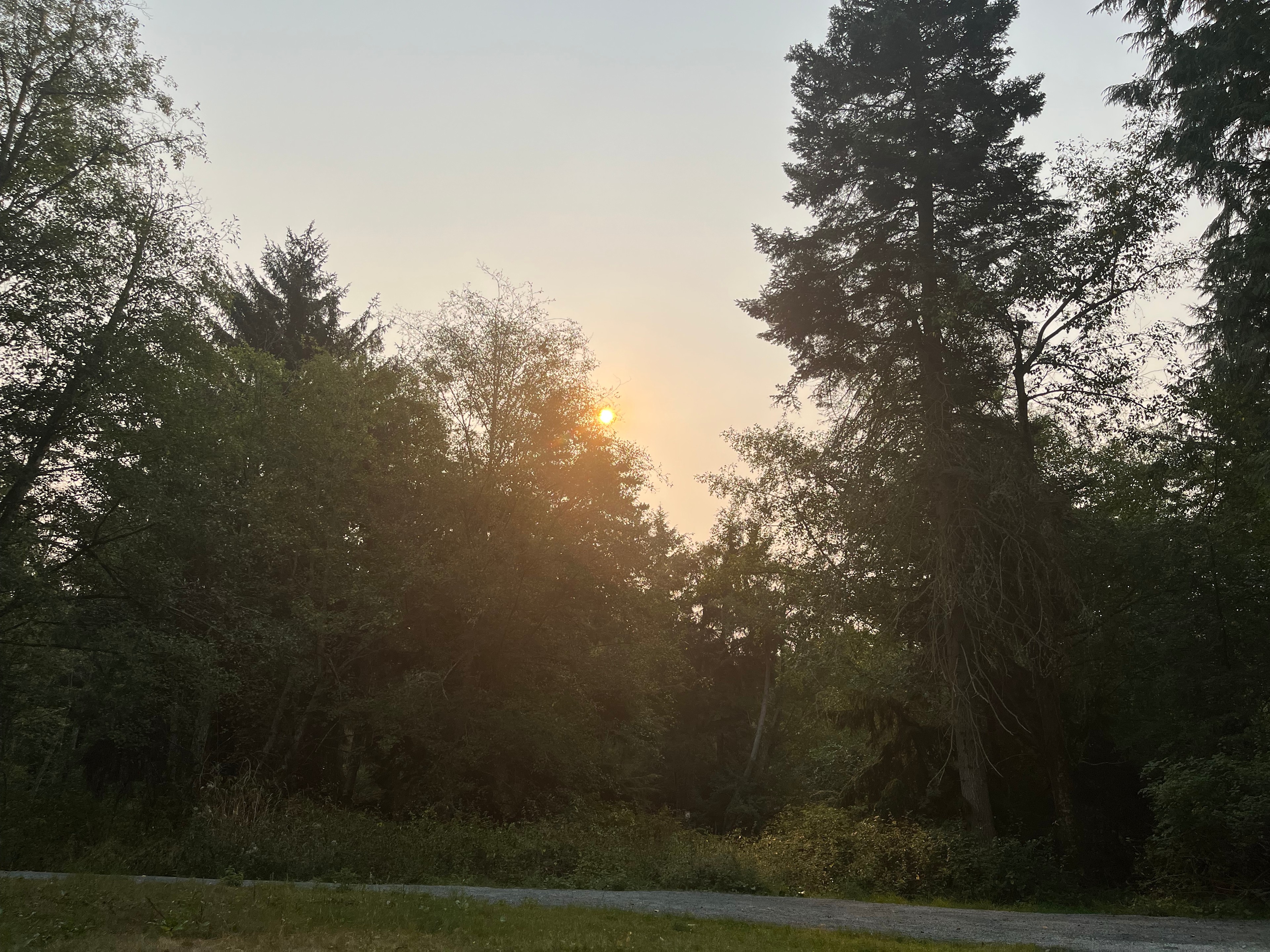 Sun going down