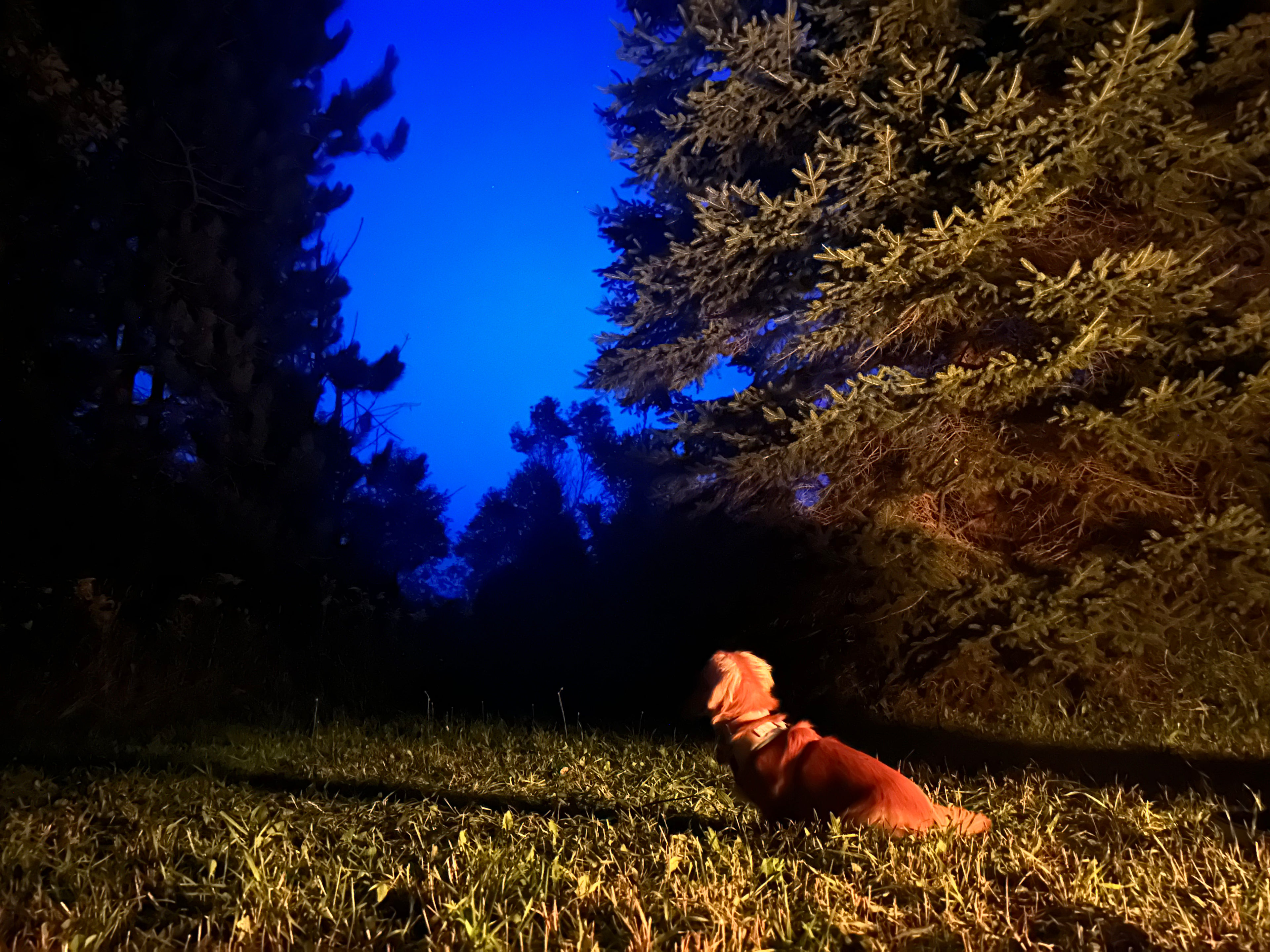 Burke’s Barnyard - Farm Camping