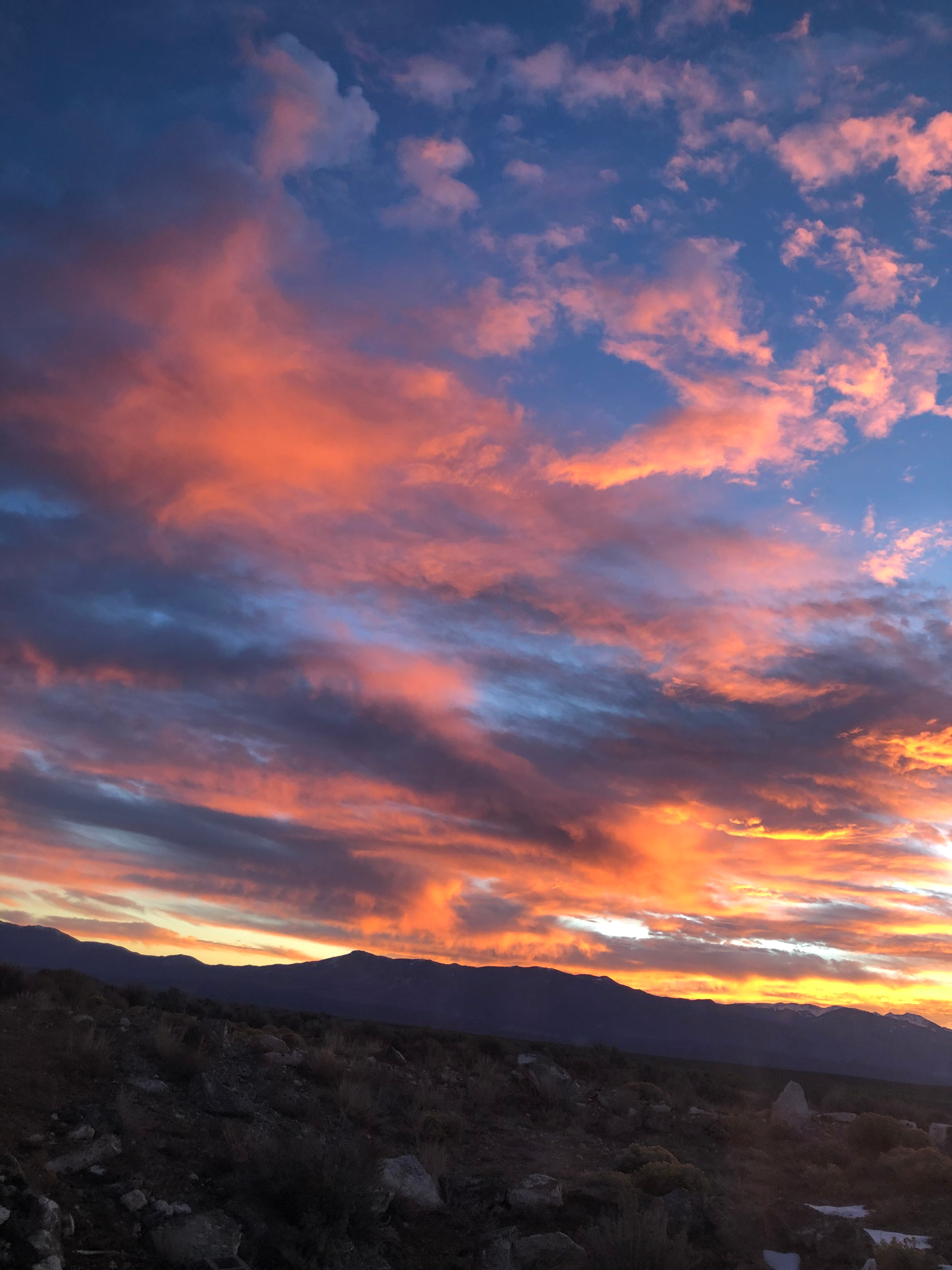 The Oasis at Coyote Moon Retreat