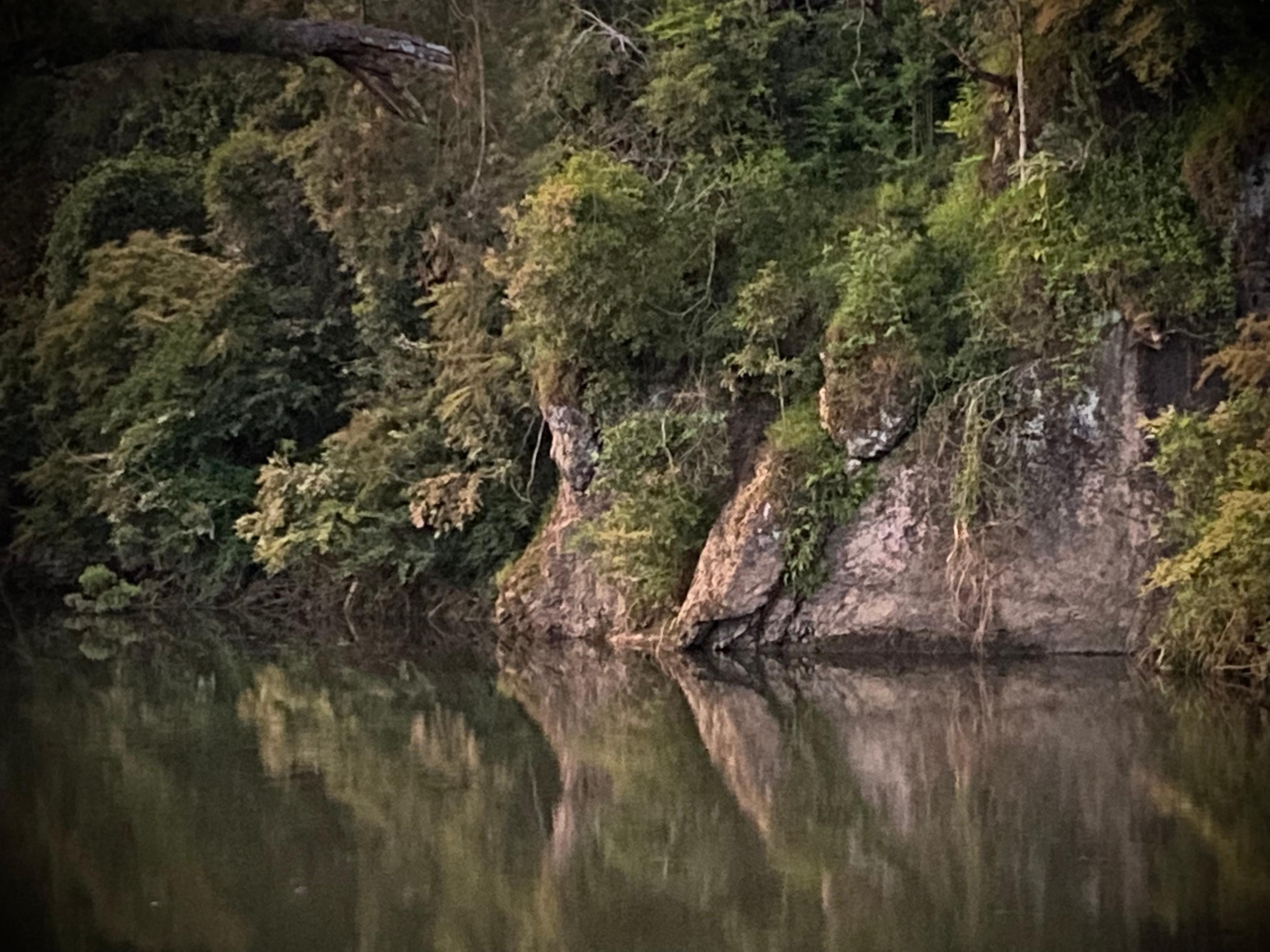 Evermore Farm at Barrington