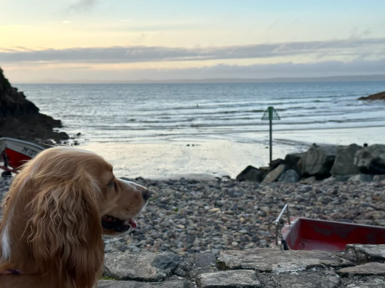 Springfield Farm & Wild Camping