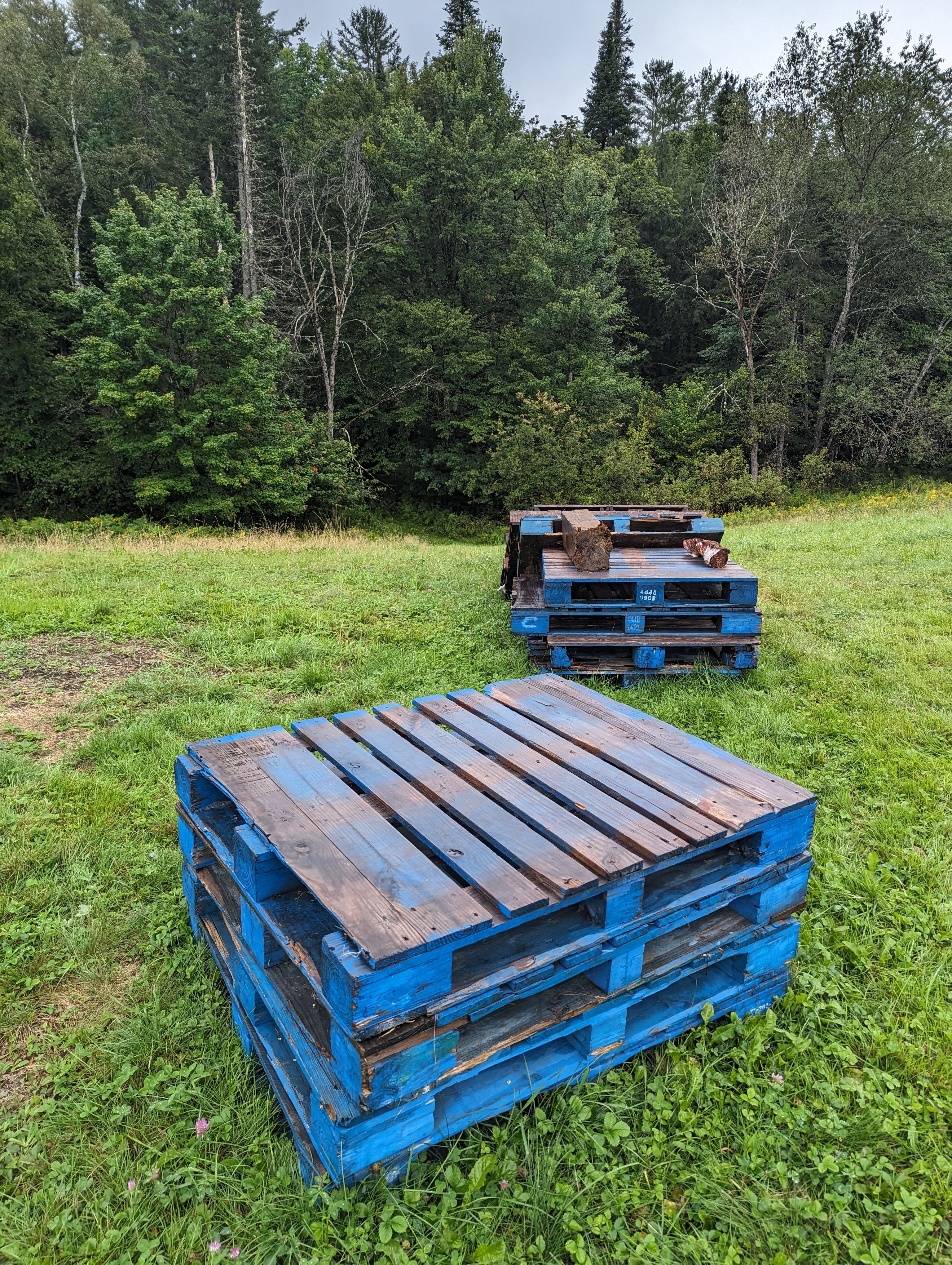 White Mountains Dear Bear Campsite