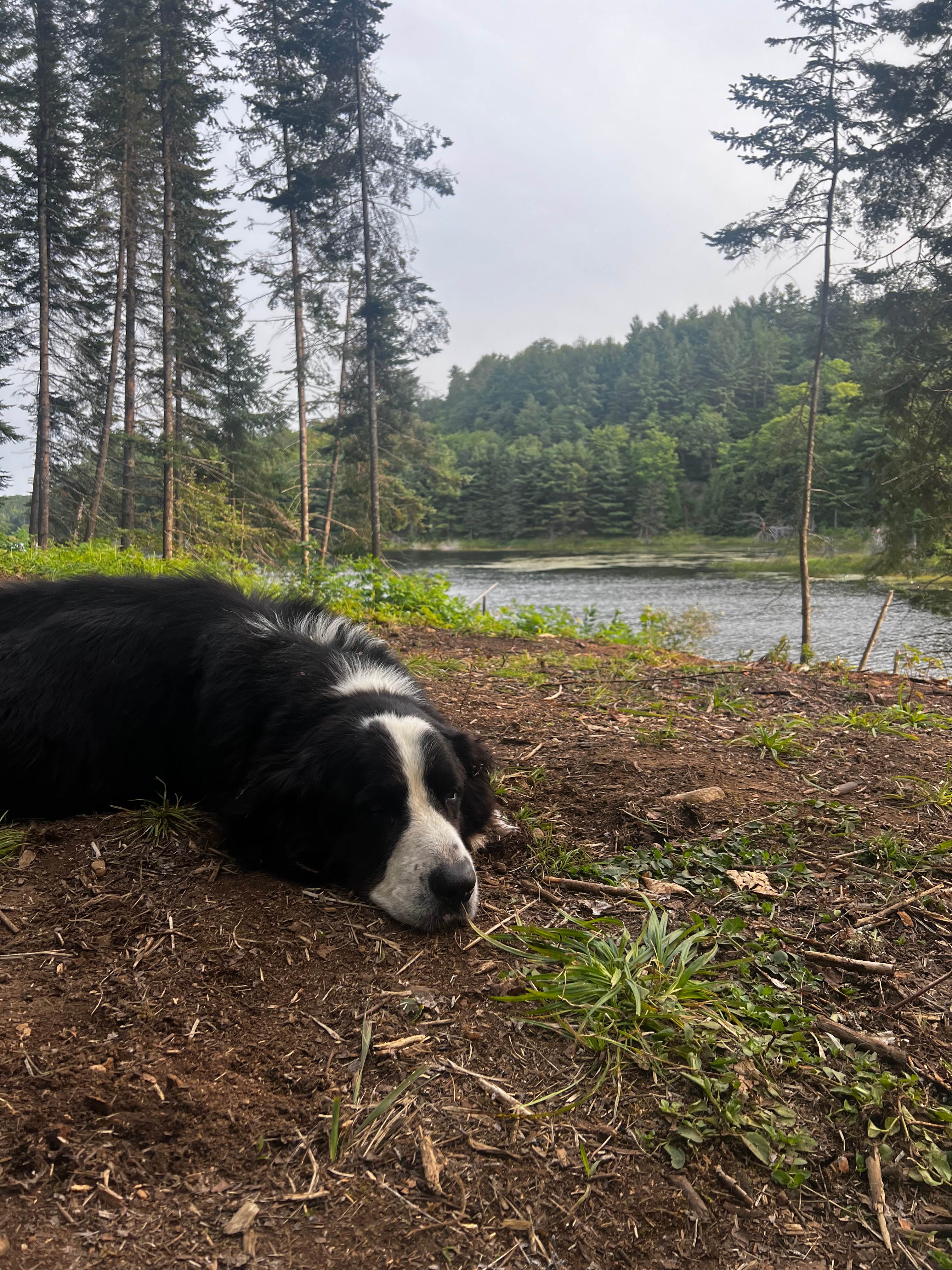 Ball Lake Tent Camping