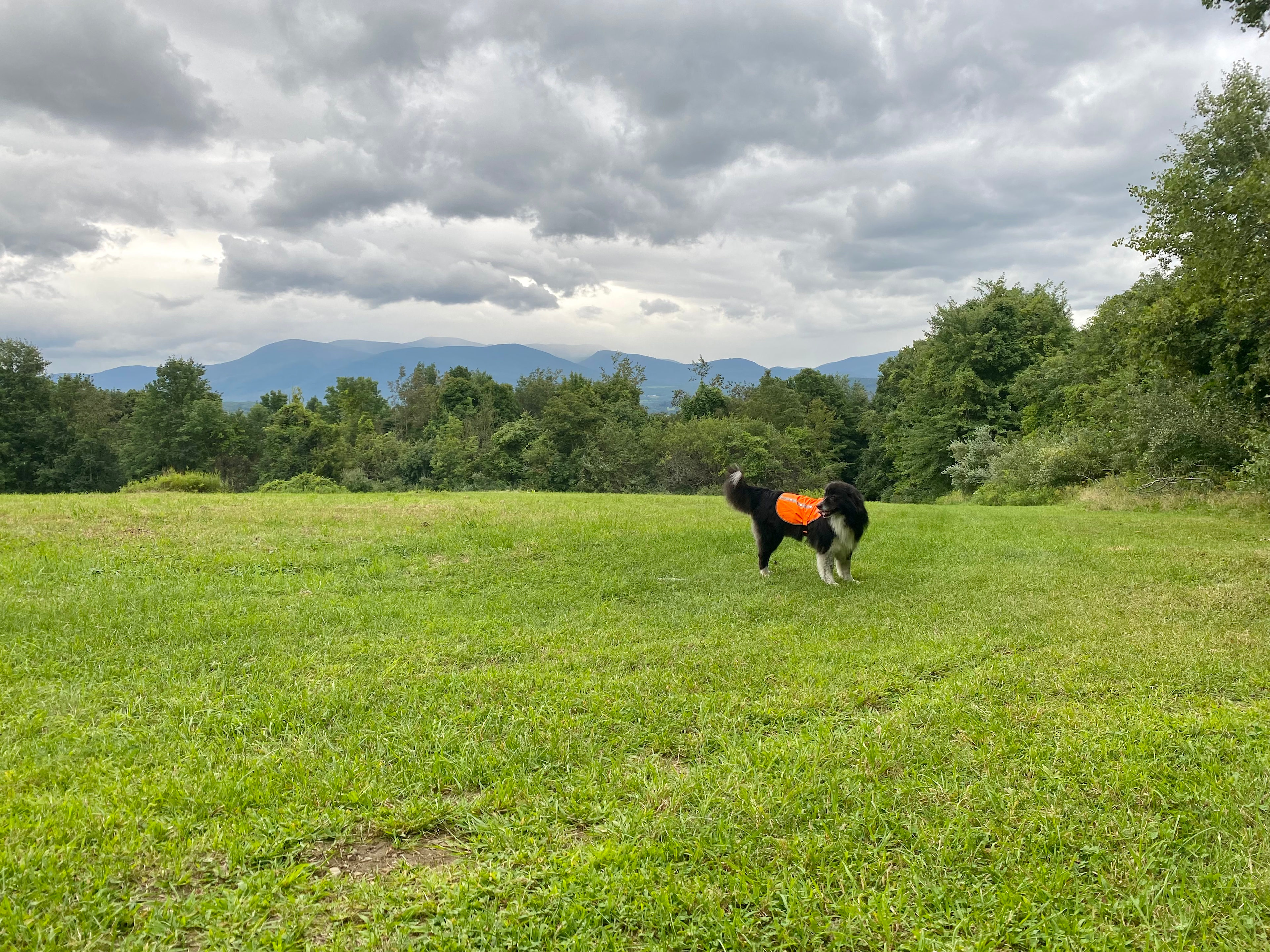 Mountain Top Retreat