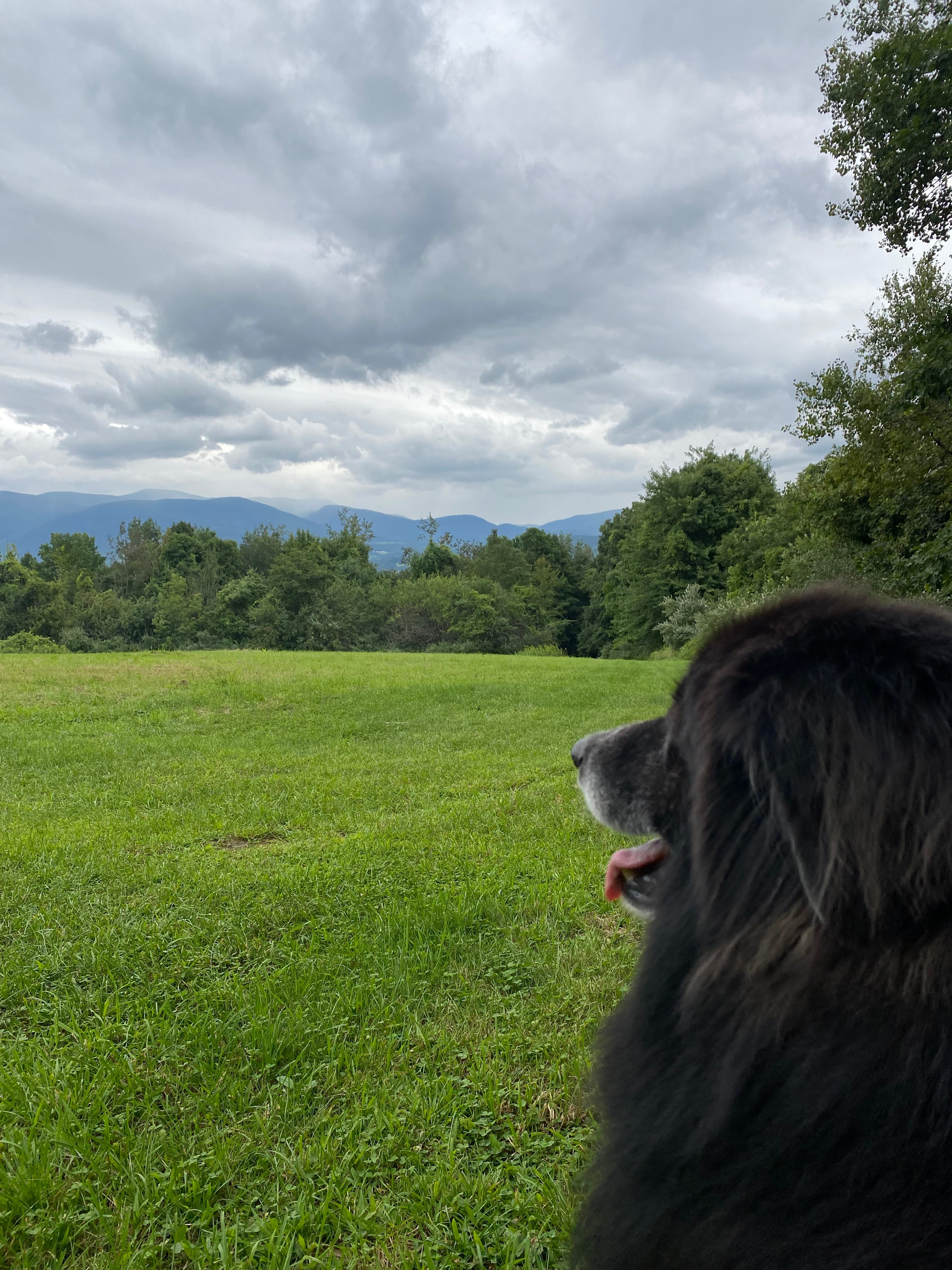 Mountain Top Retreat