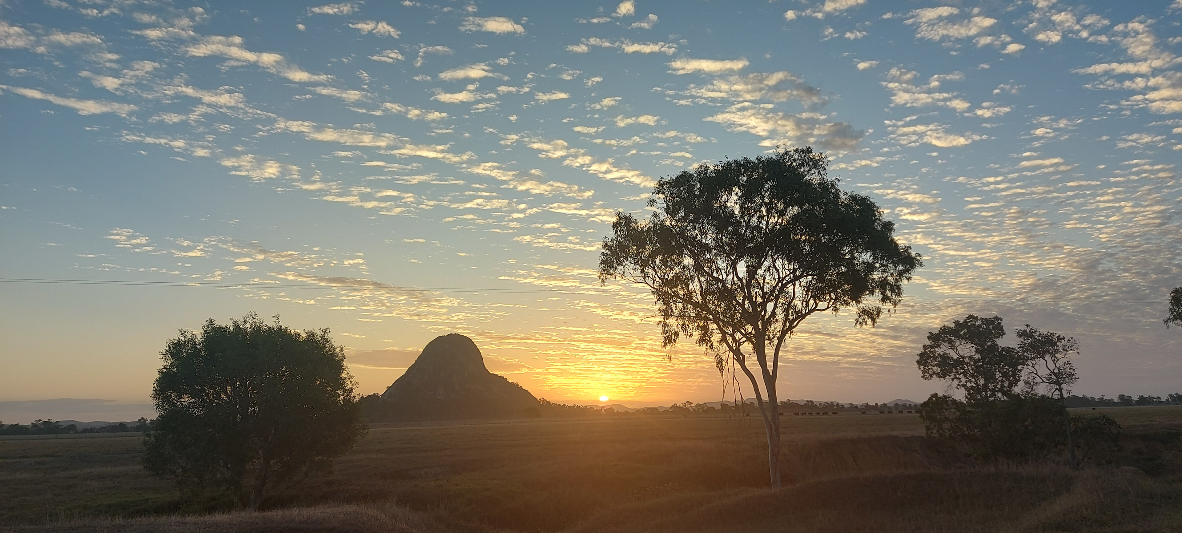 Akubra Downs/HedlowAirfield