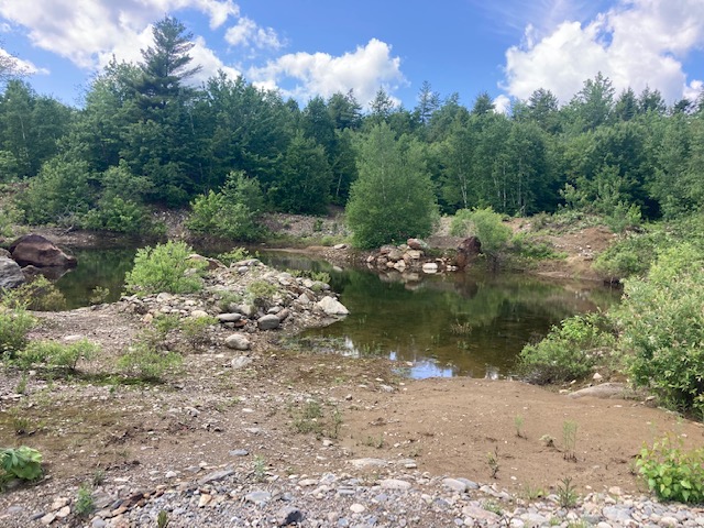 vernal pond