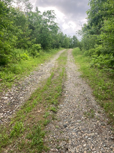 road to the back 40, 4 wheel drive advised