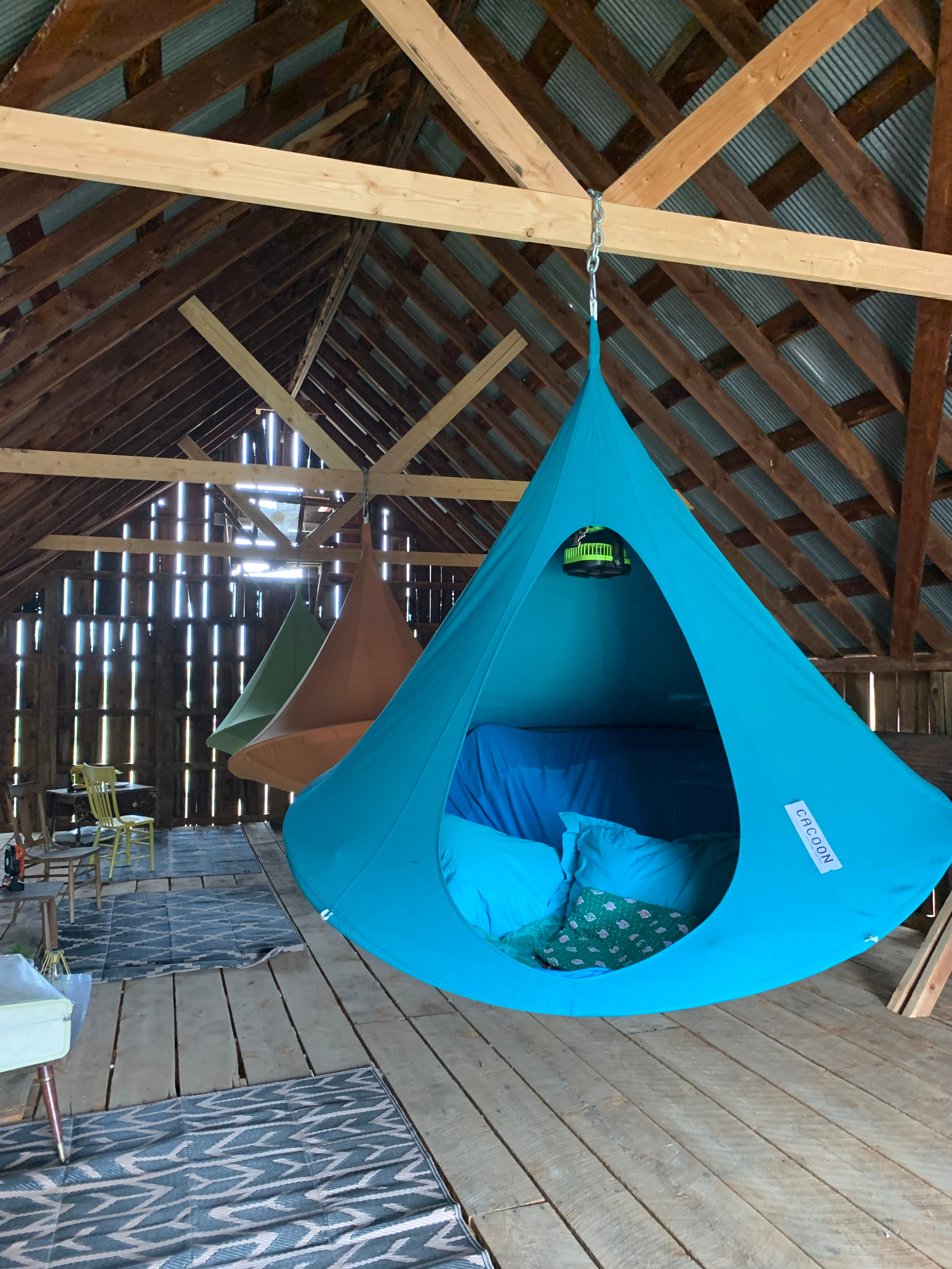 Hang out in you own nest!