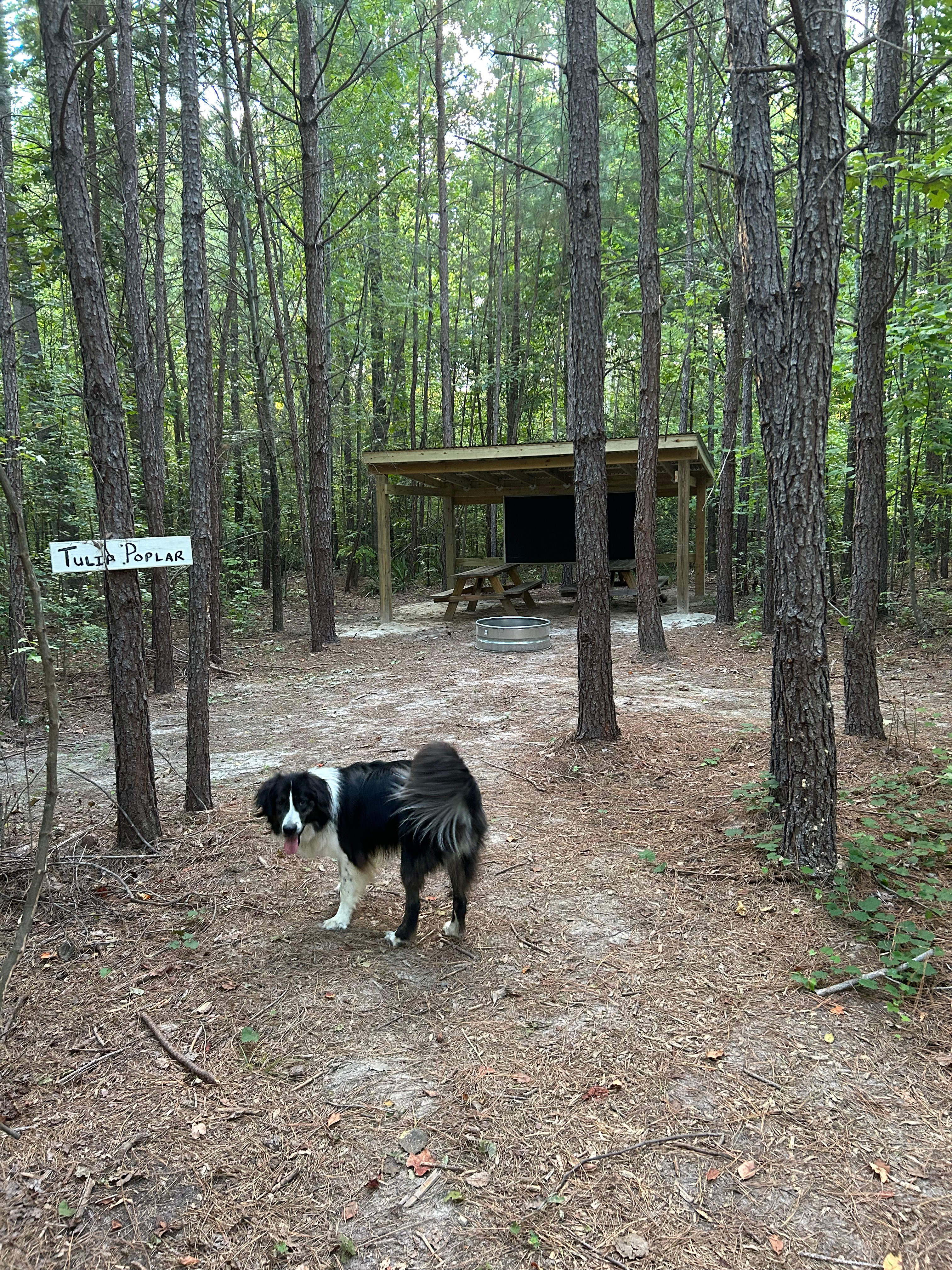 Peace of Earth Farmstead & Forest