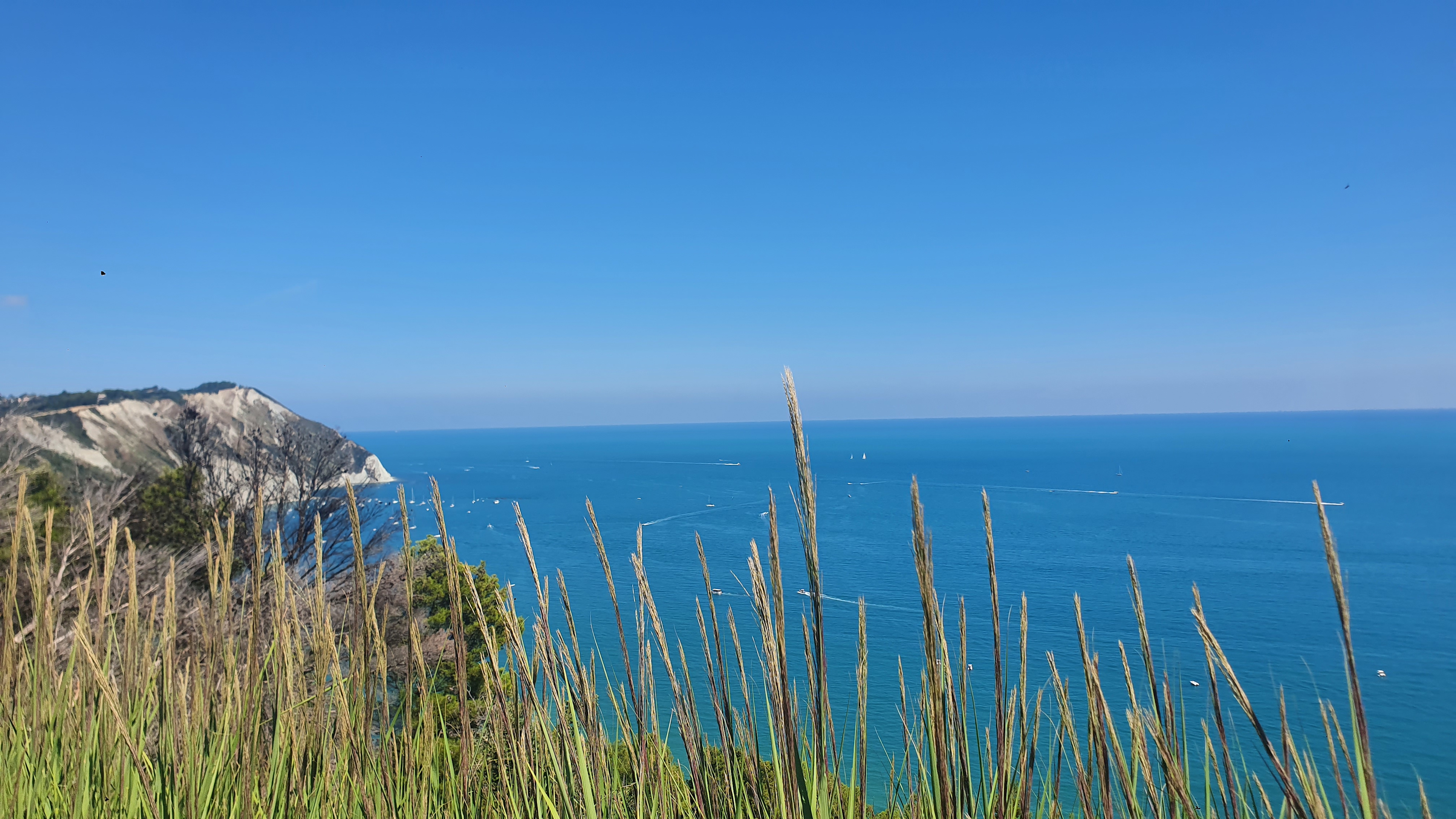 Welcome Farm Glamping with sea view