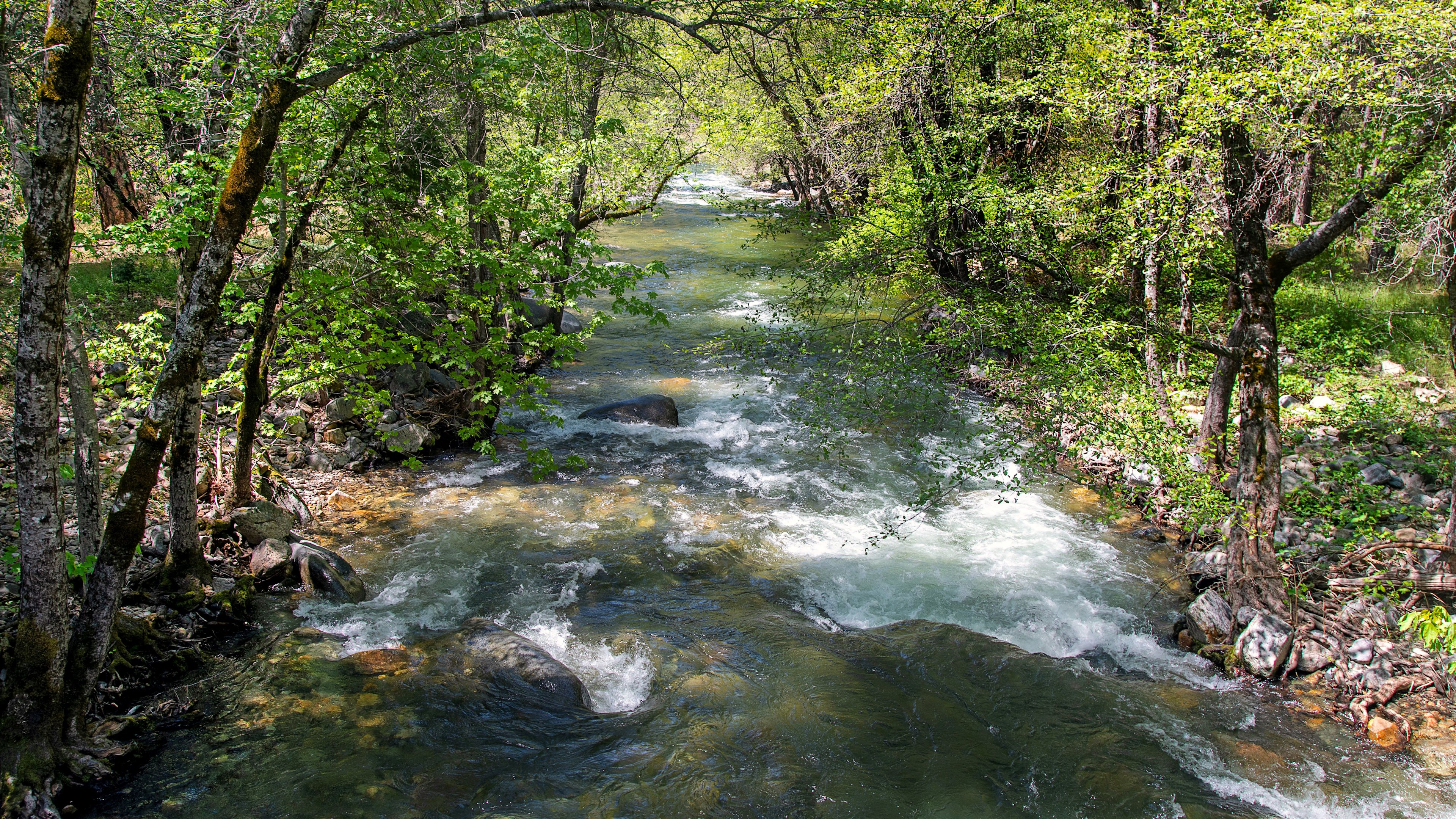 River Ranch Campgrounds