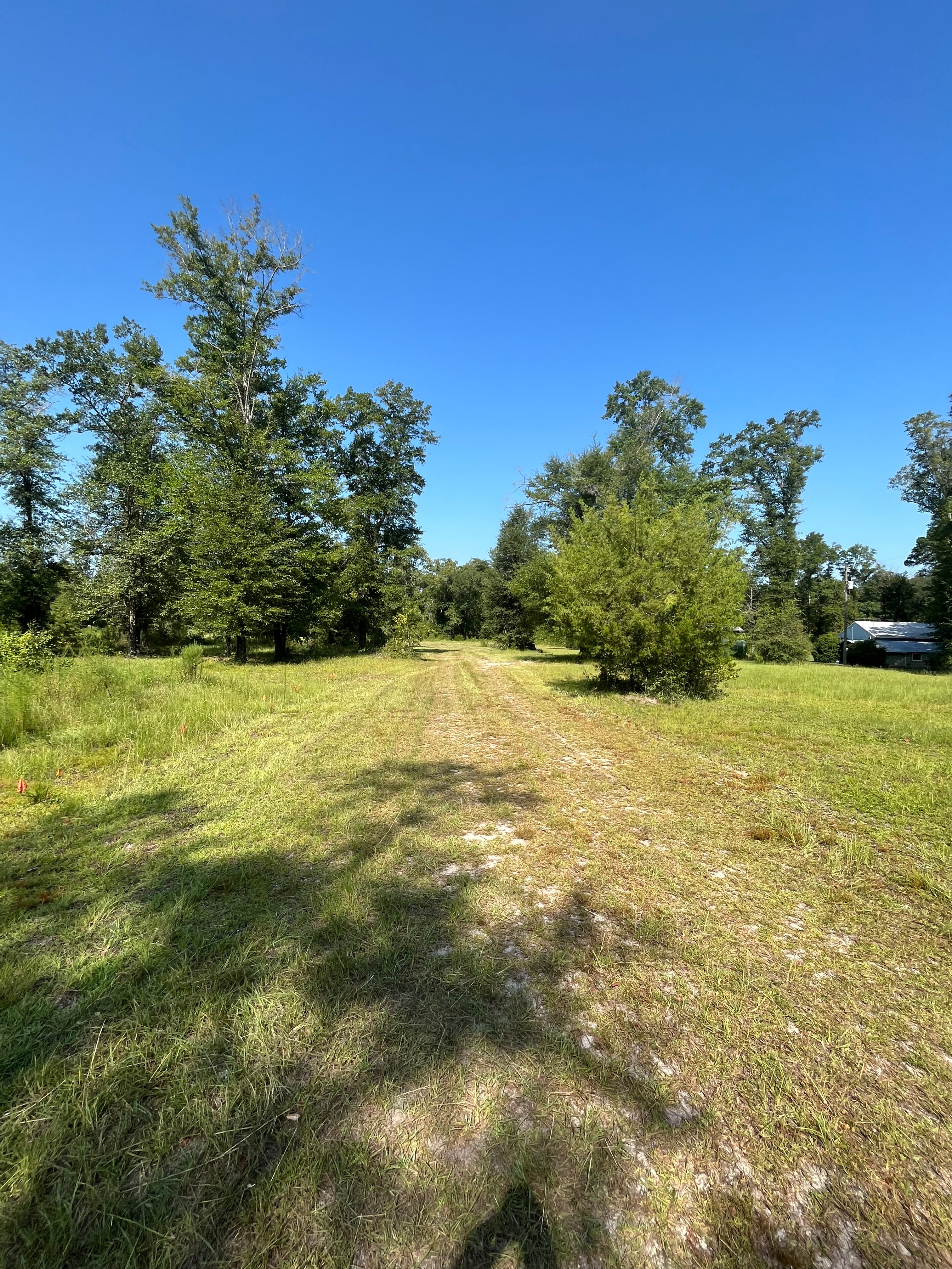 Health is Wealth Camp