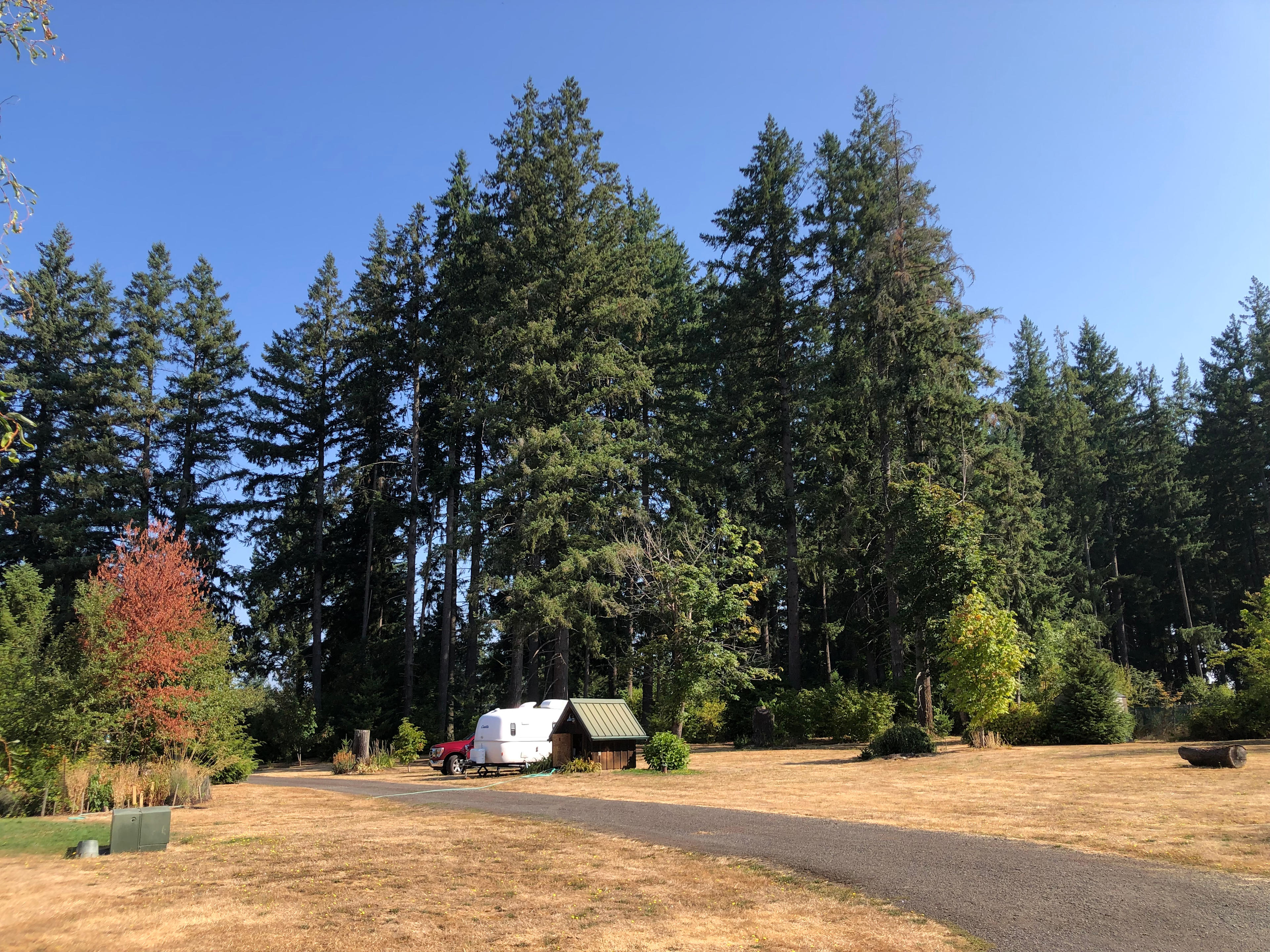 Spacious sites!