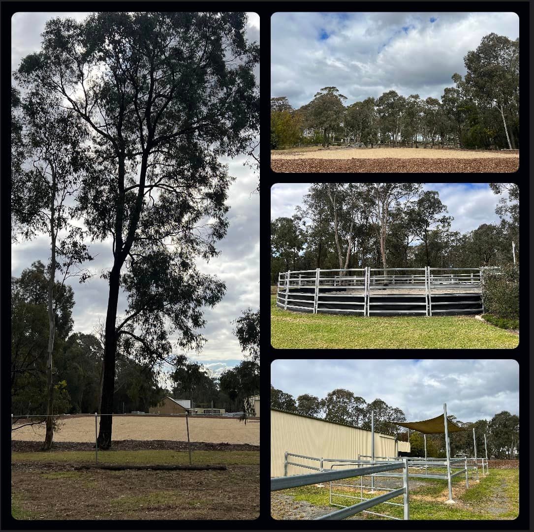 Horse Facilities 