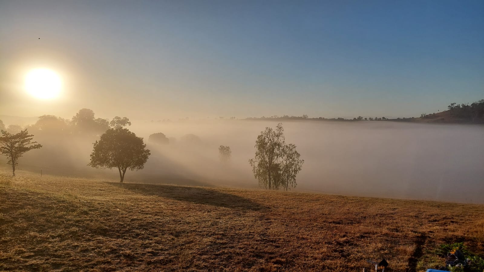 Beautiful start to the day!