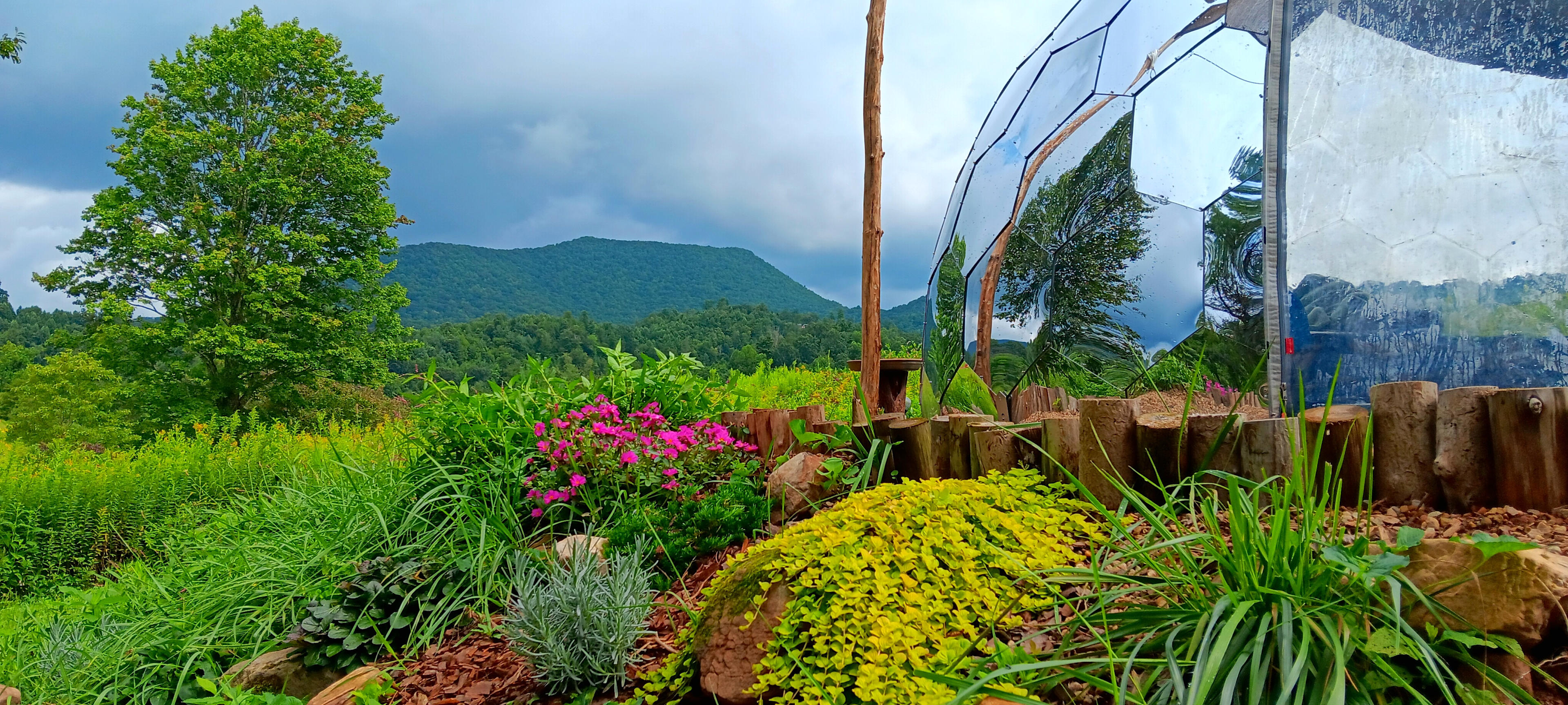 Most of the landscaping is native installations of beneficial plants and medicinal herbs 