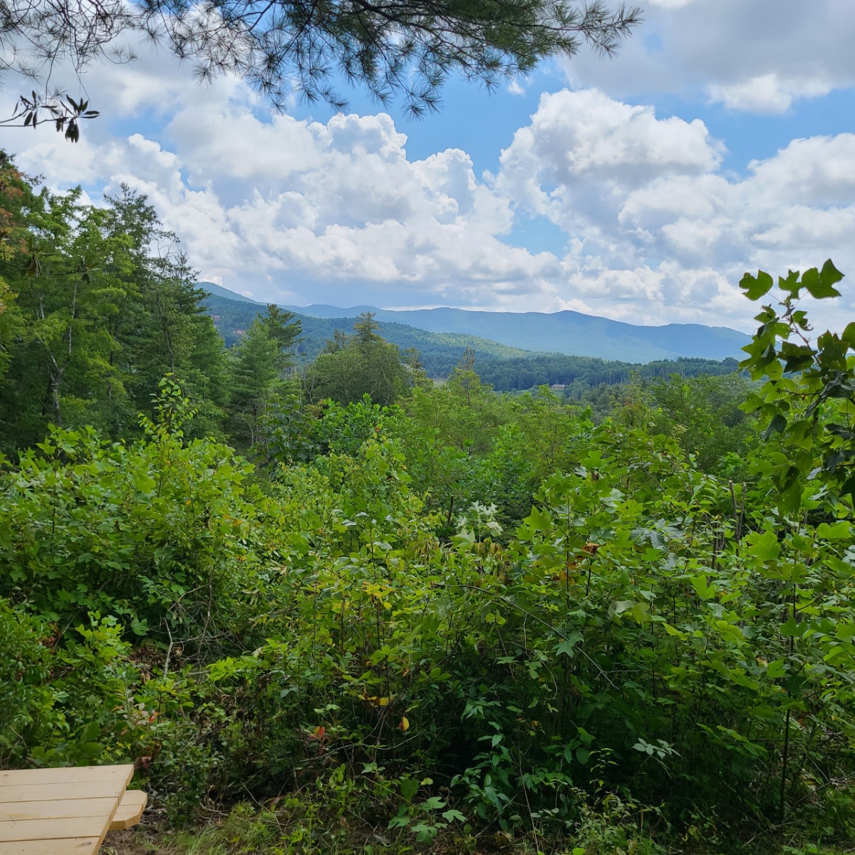 Could sit and stare at this view all day