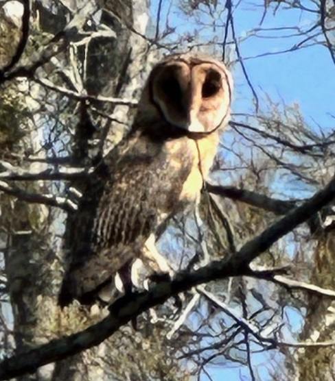 Big Island Bend on the Clyde River