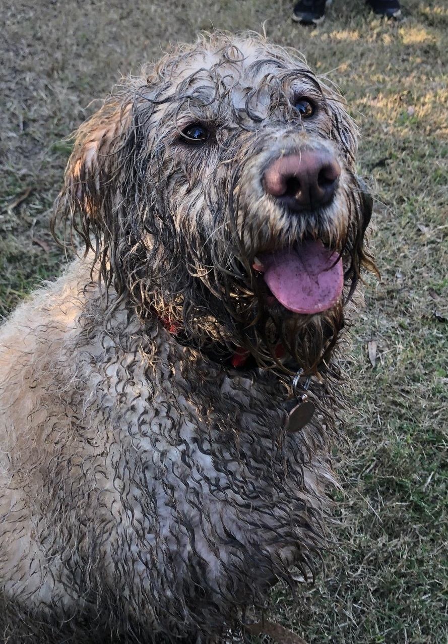 Big Island Bend on the Clyde River