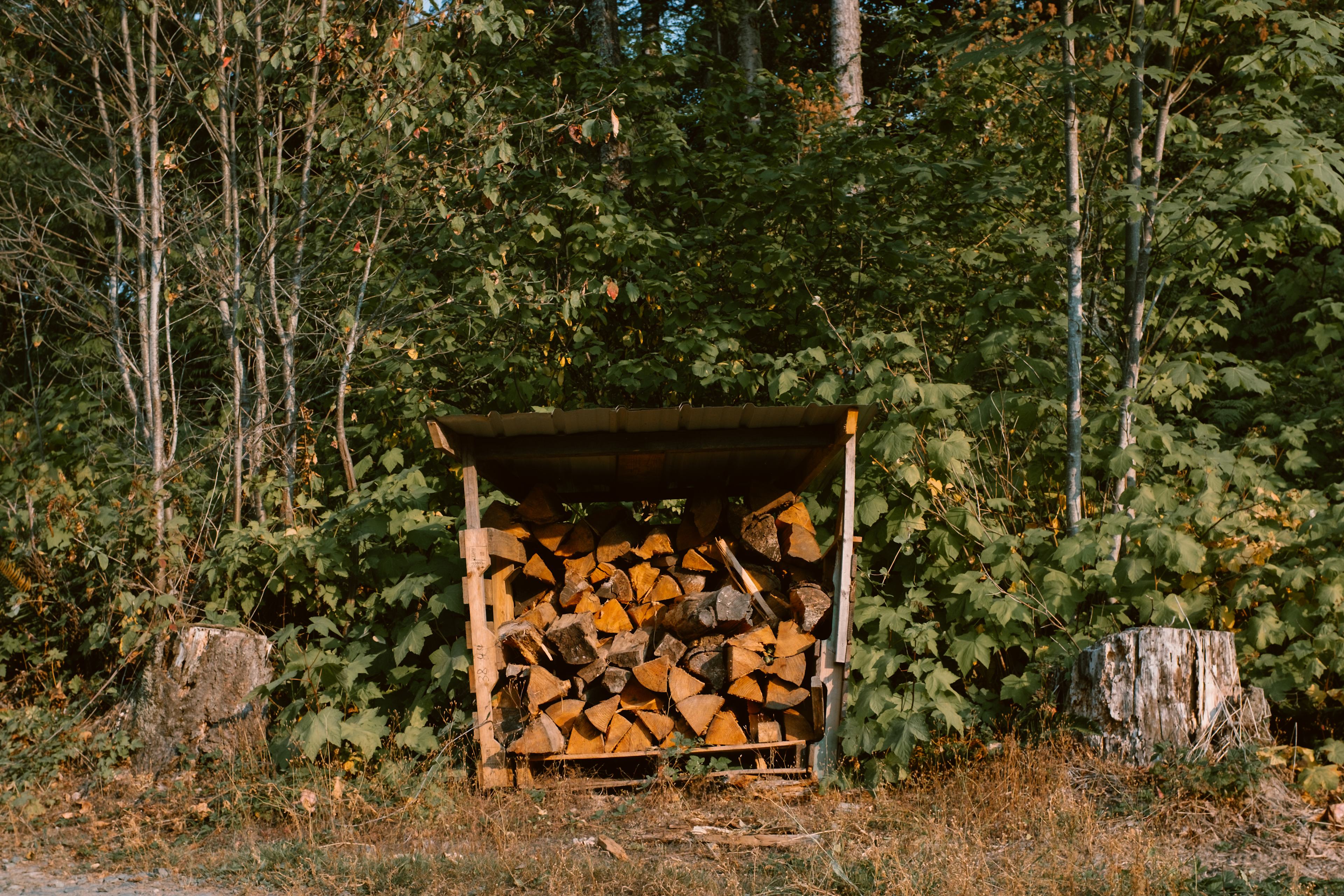 Firewood ready for guests to use.