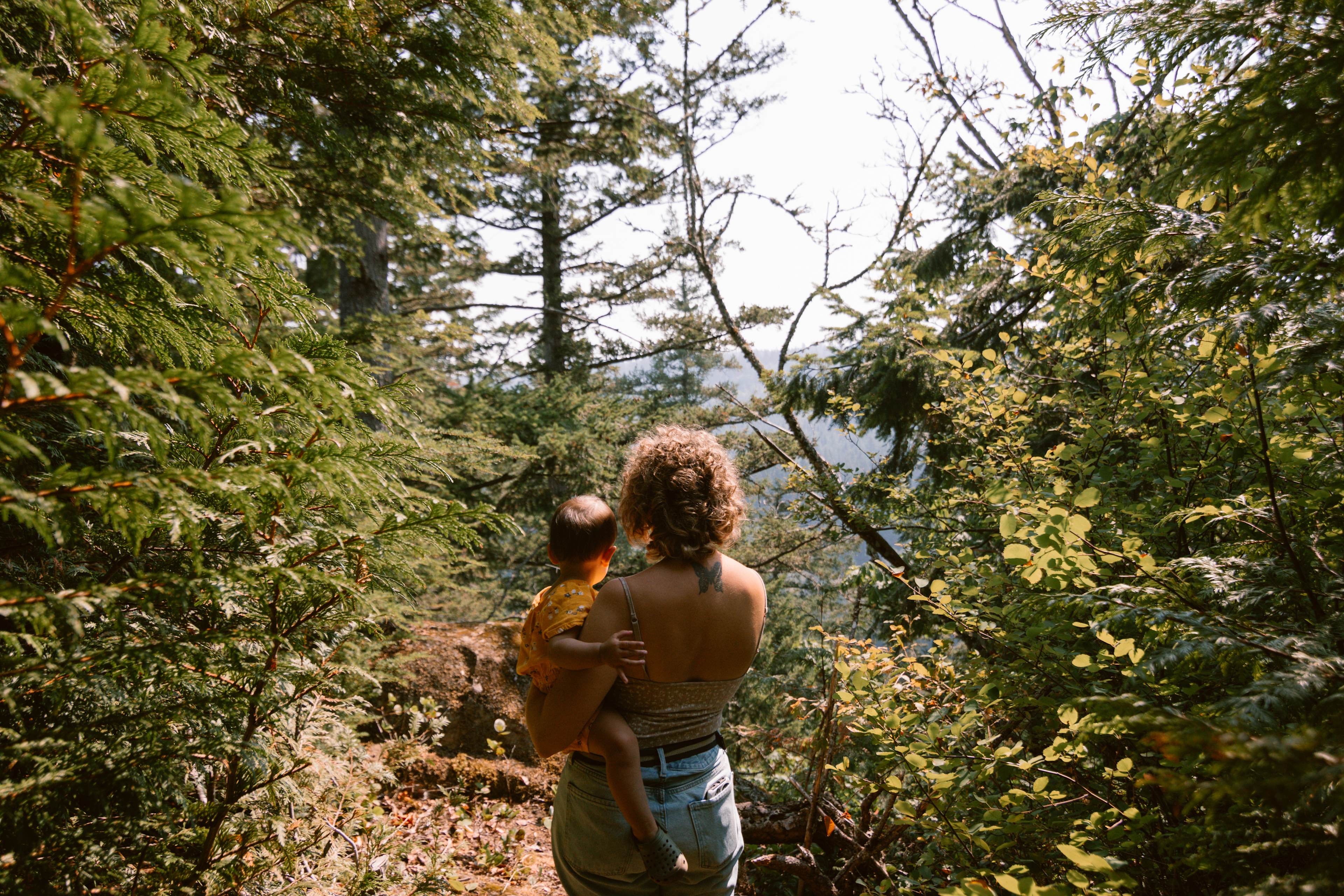 The property is at the top of the hill, so there were many lookout view points. 