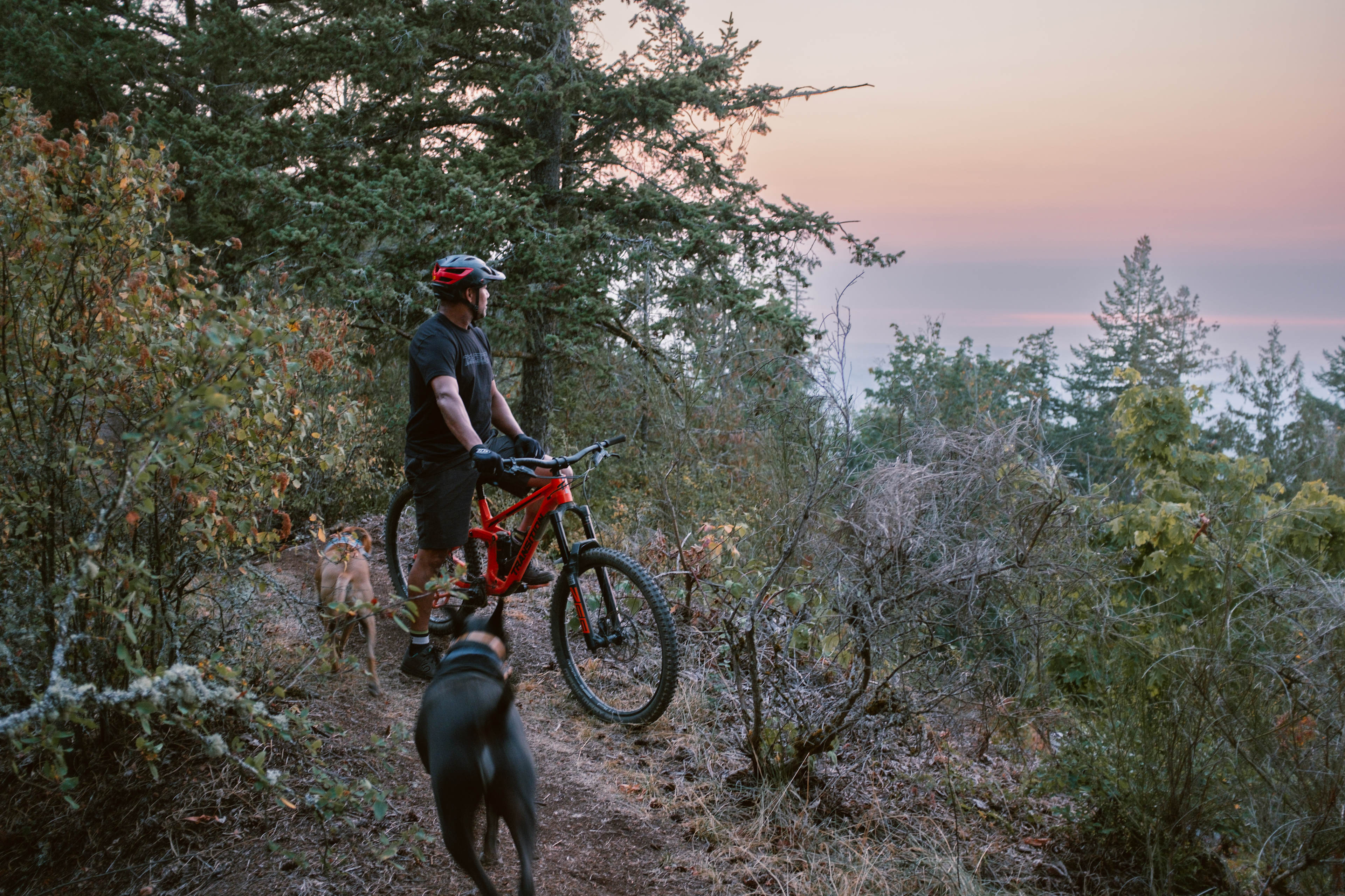 Our host Shaums showing us the view with his dogs. 