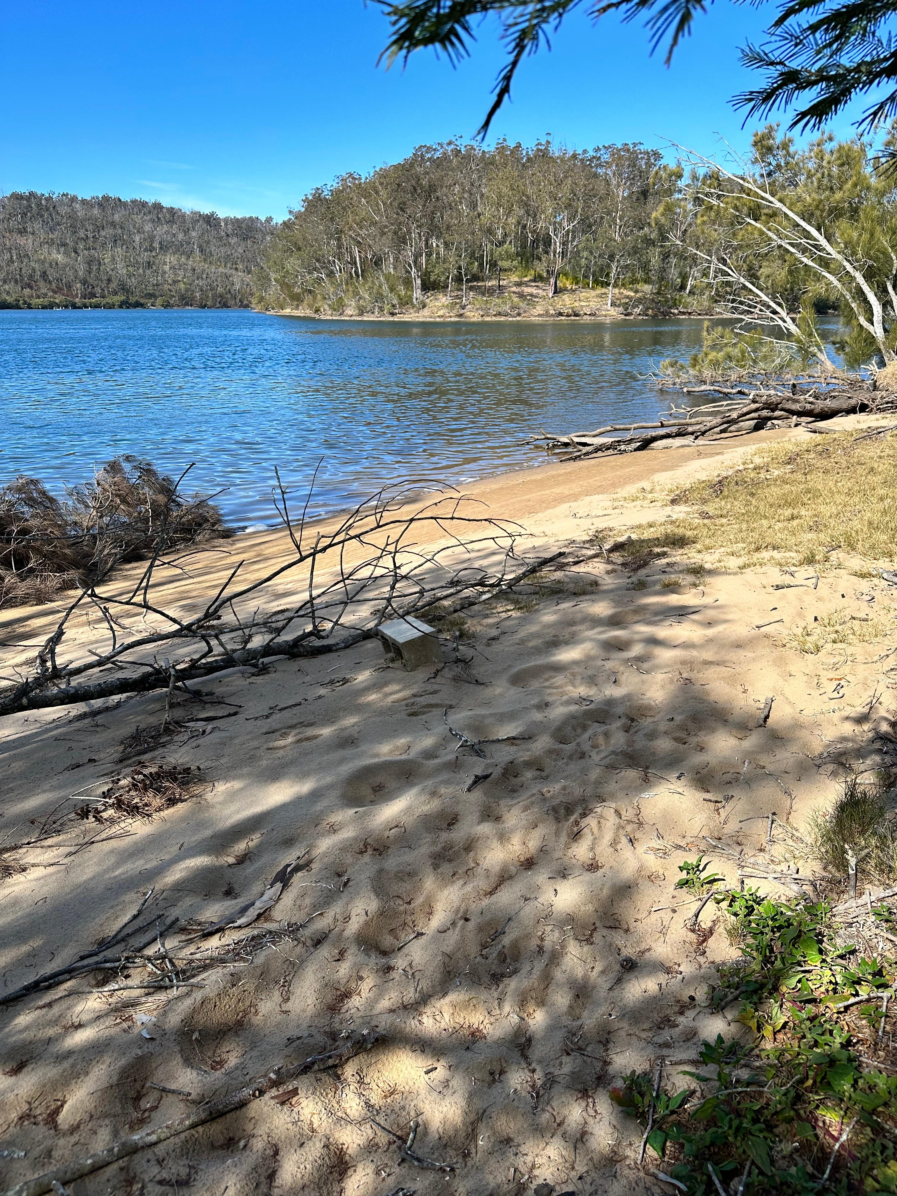 Big Island Bend on the Clyde River