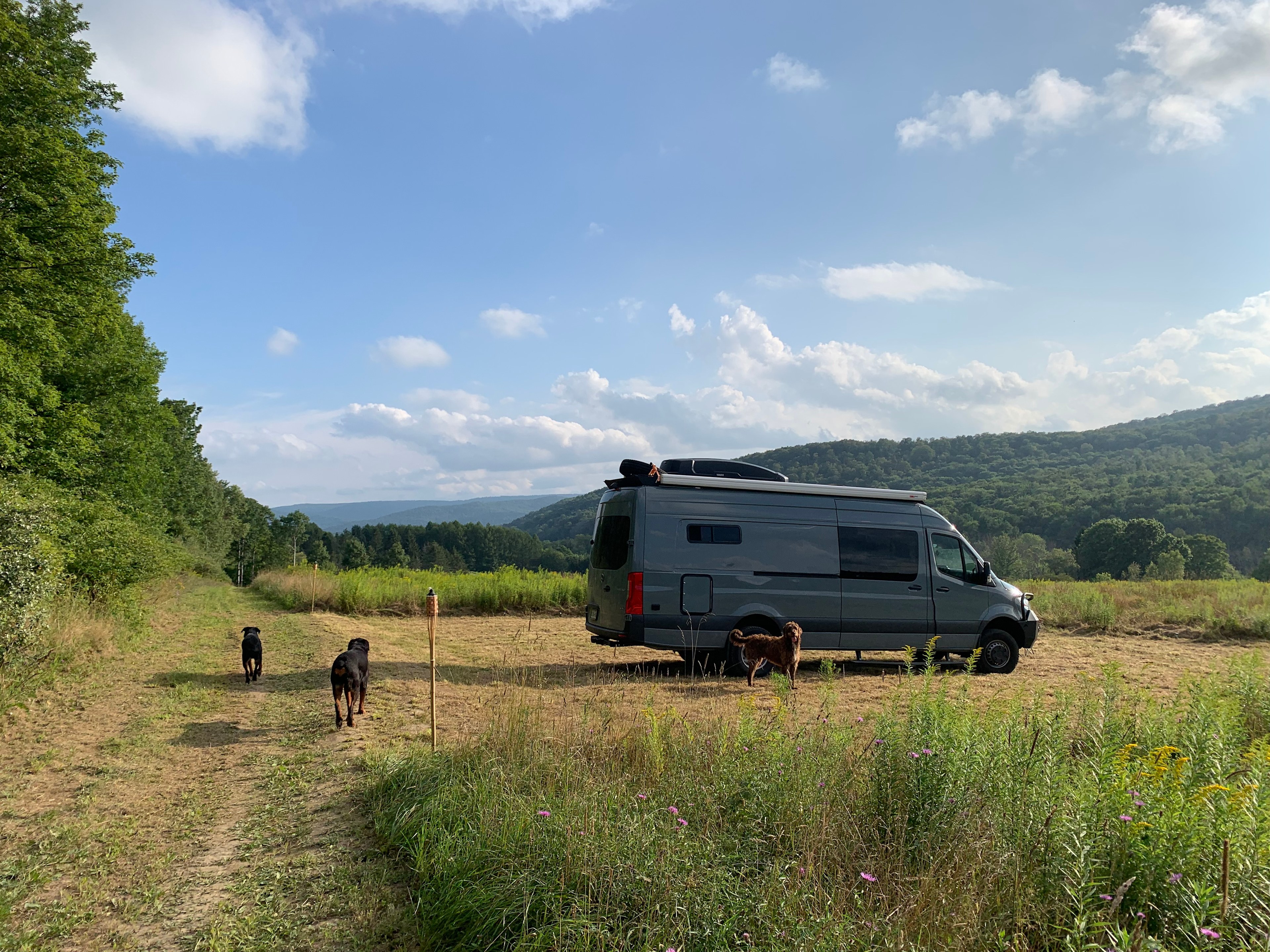 Firefly Acres - Star Gazing Views