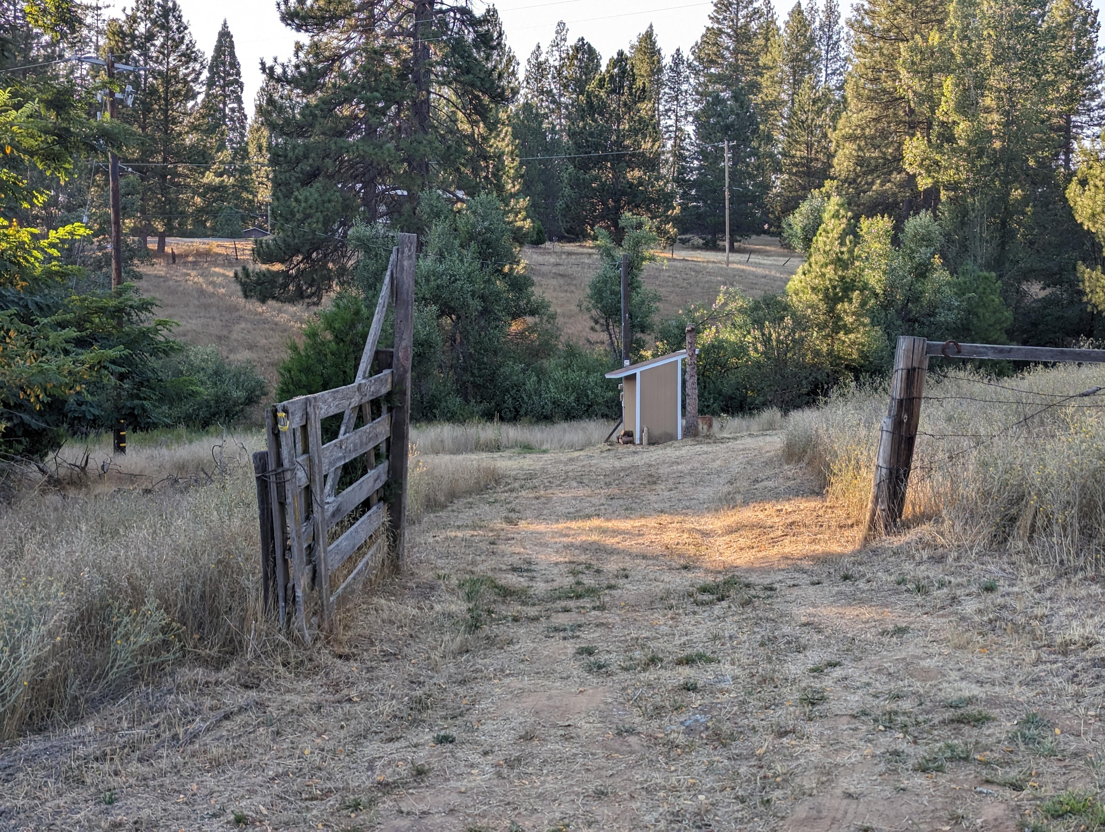 Golden Mountain Meadow
