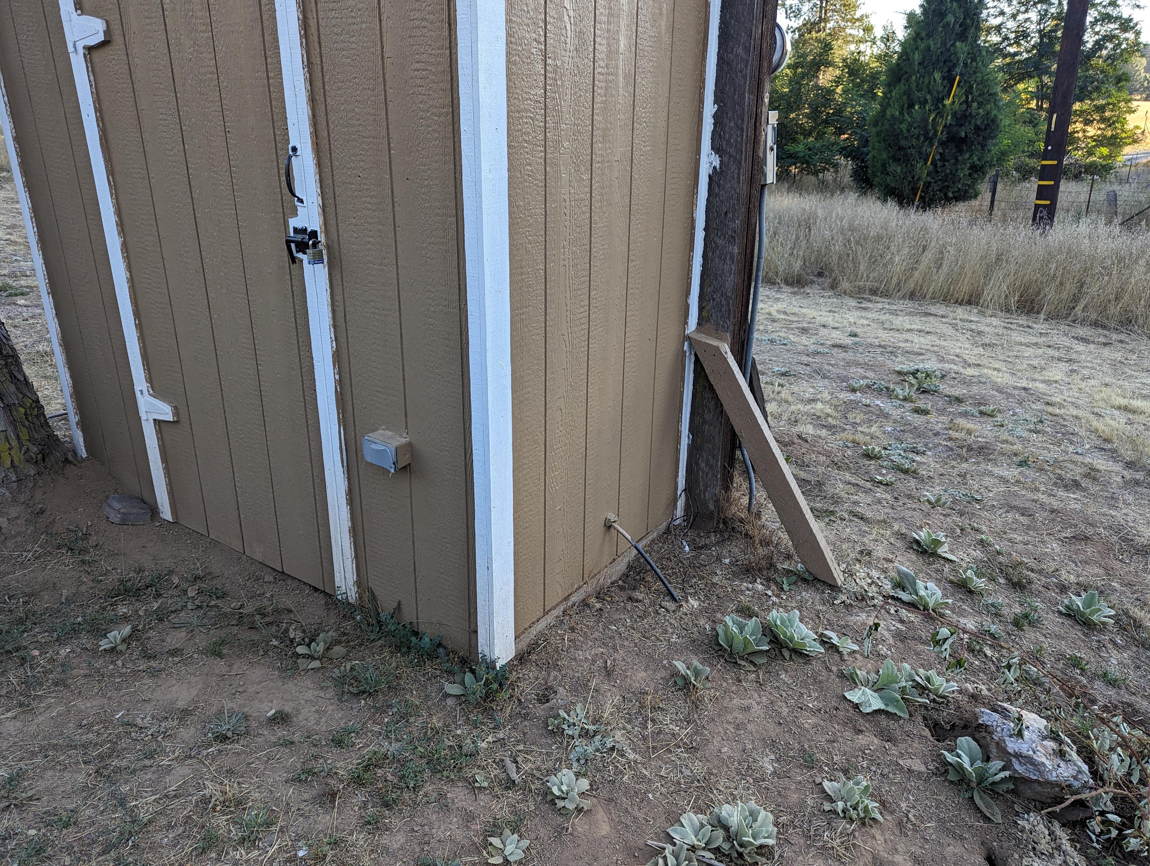 Golden Mountain Meadow