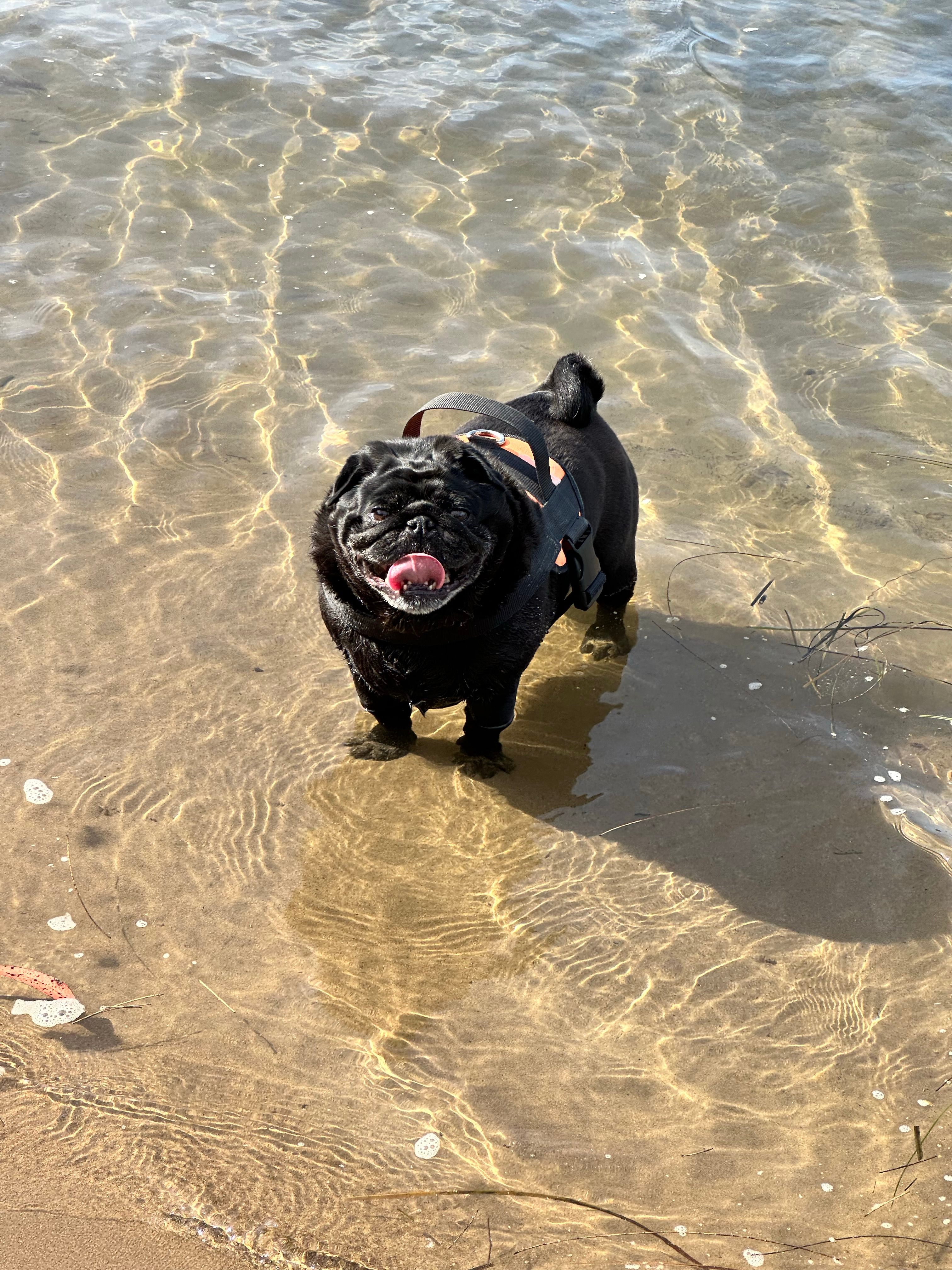 Big Island Bend on the Clyde River