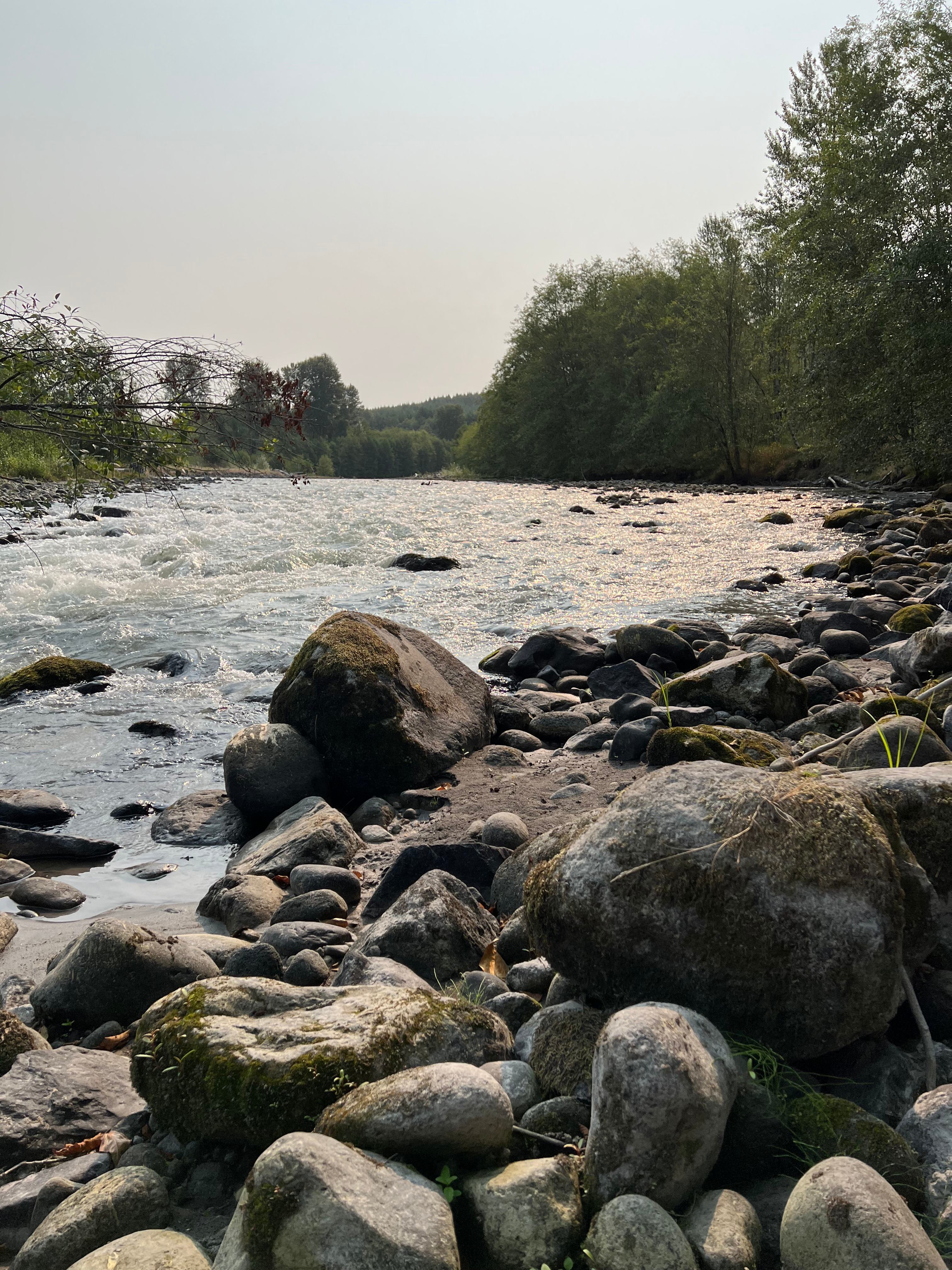 HoHo Farms - Camping @ The River