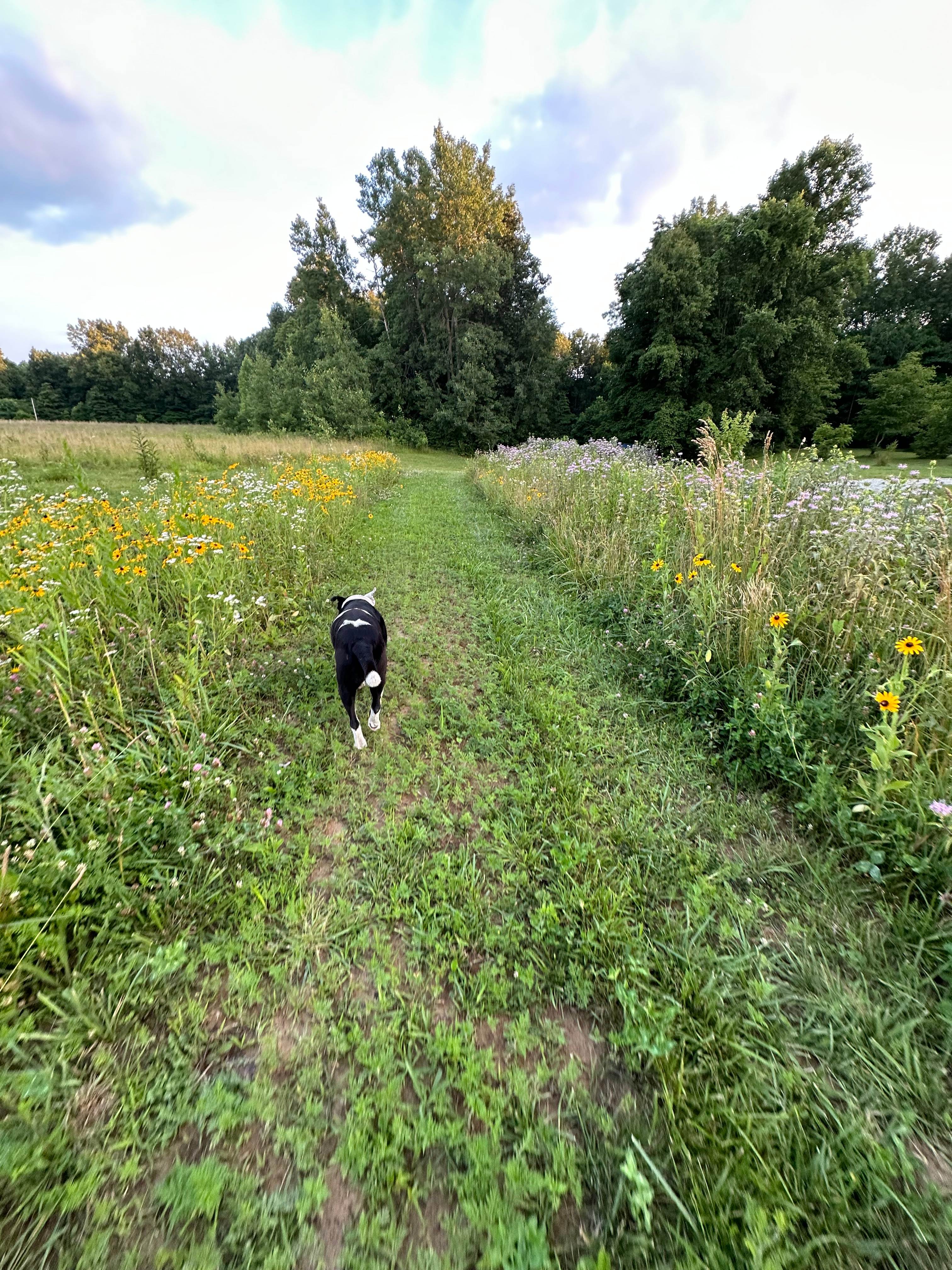 Backroads Vineyard LLC