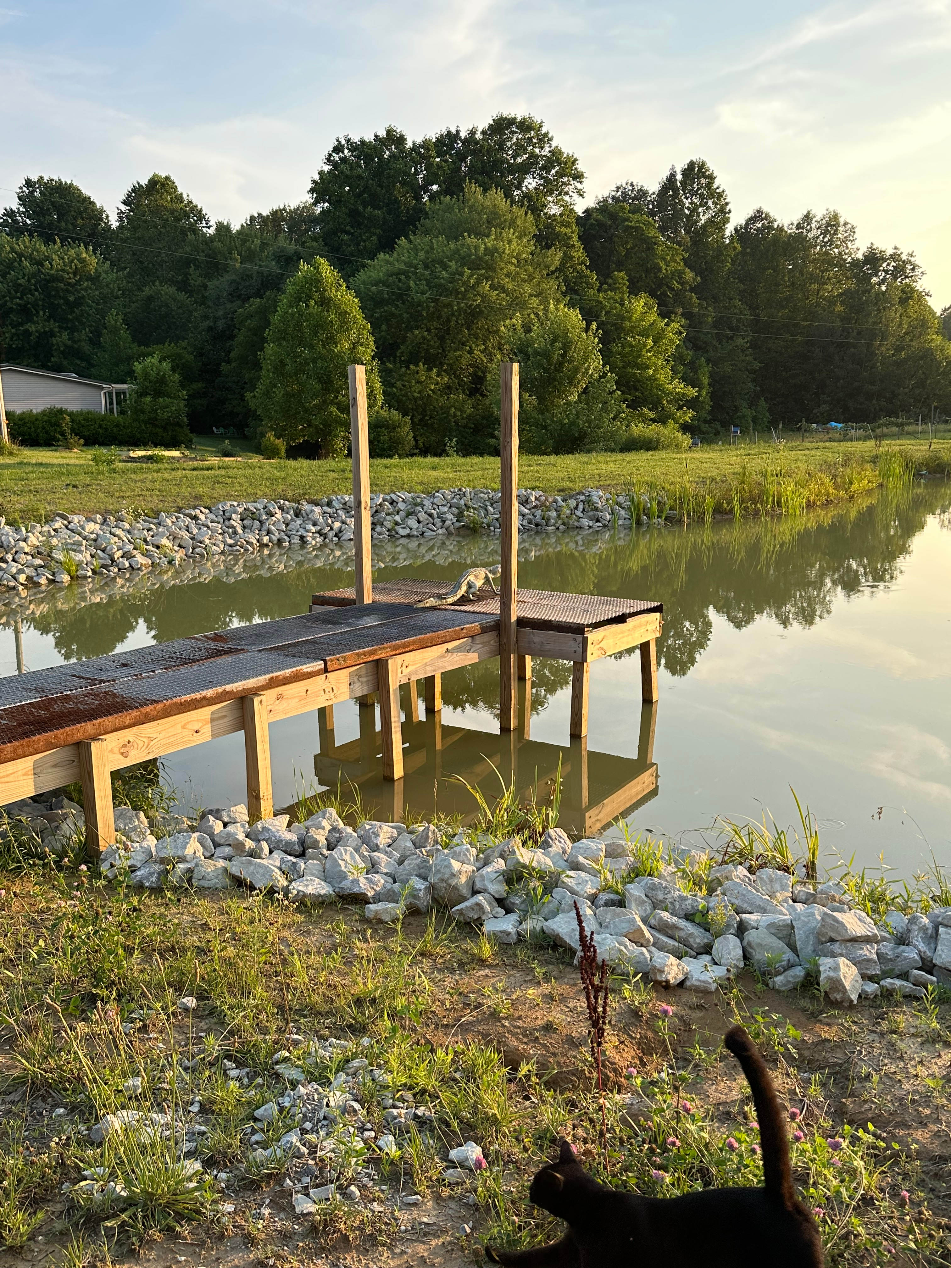 Backroads Vineyard LLC