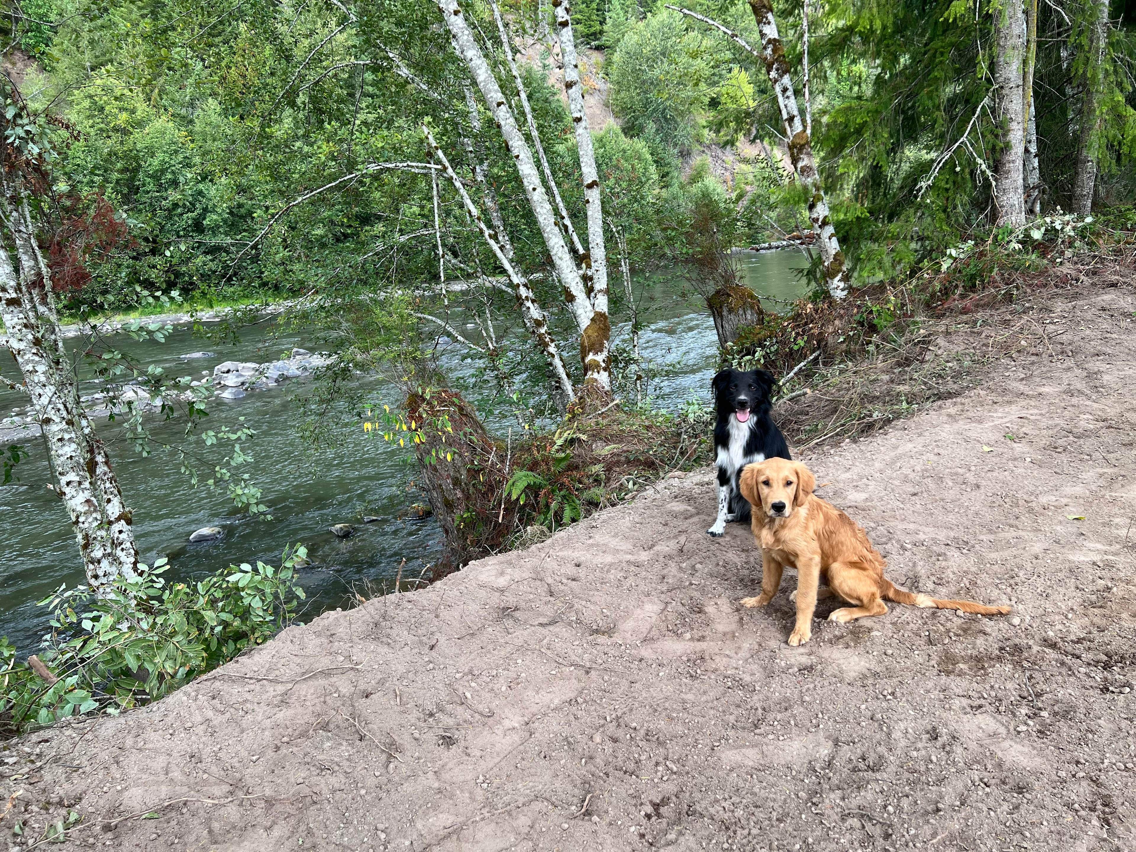 HoHo Farms - Camping @ The River