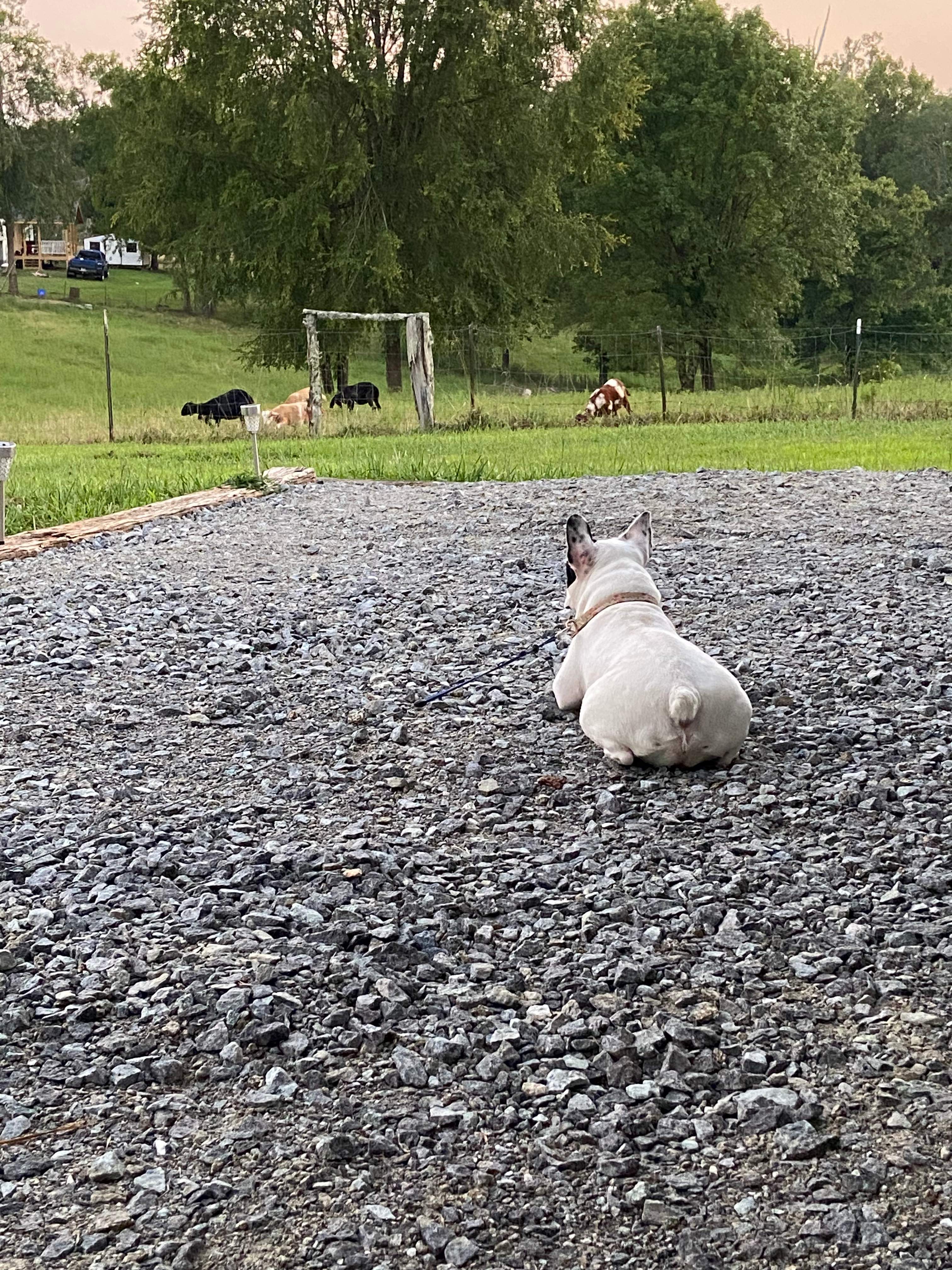 Cedar Grove Farm RV Site