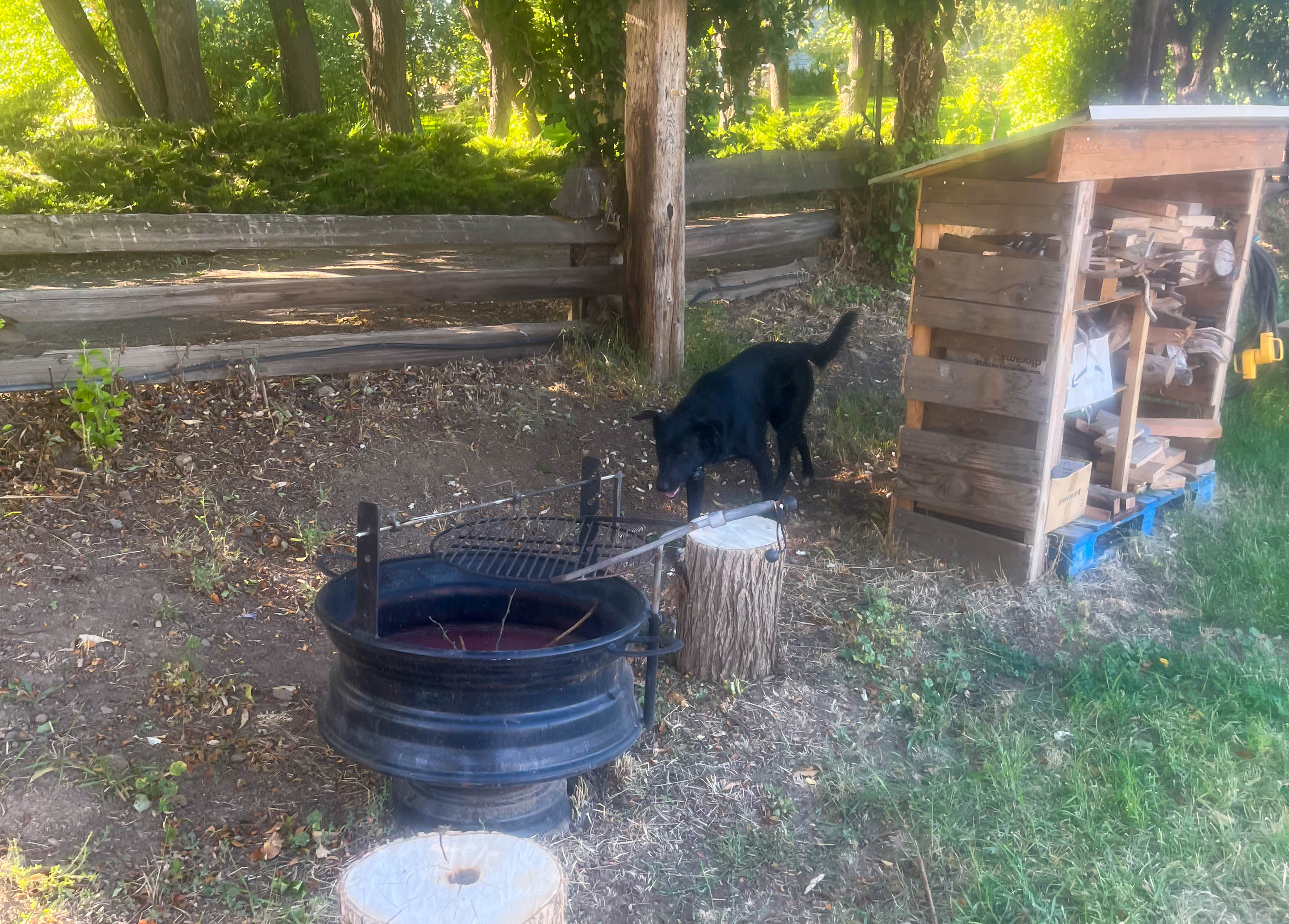 Cottonwood Country Camp