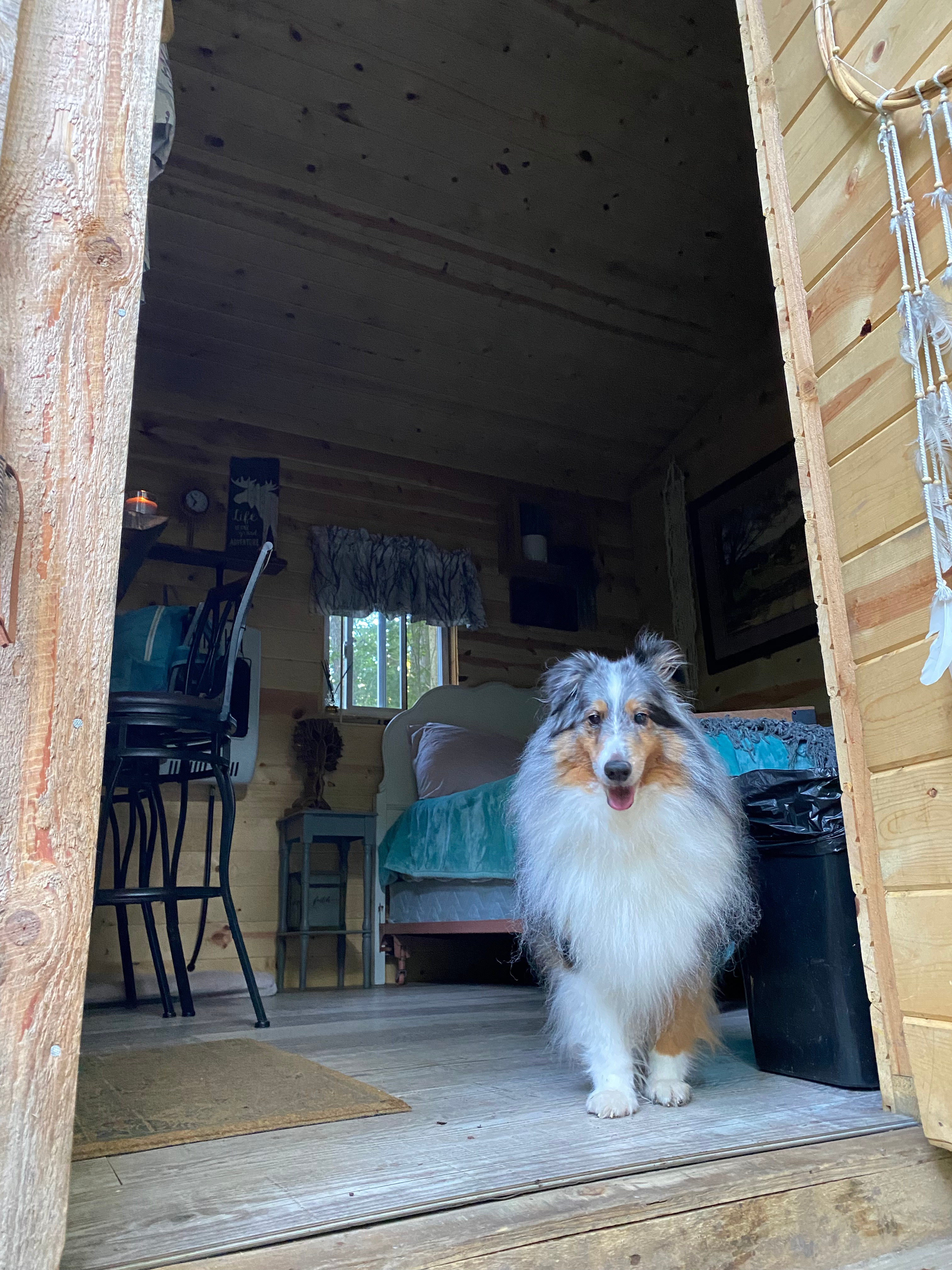 Angie's Country Cabins B&B